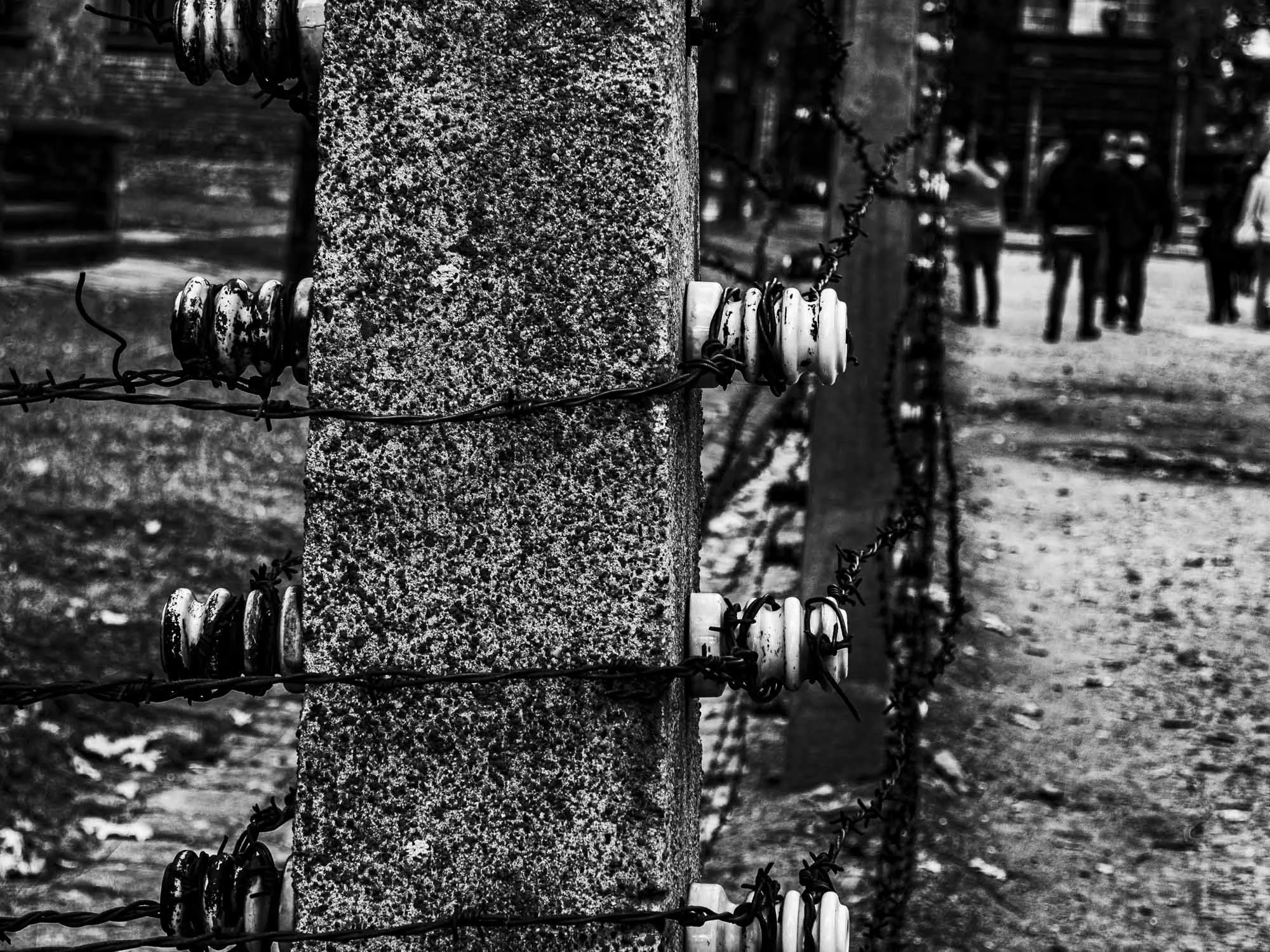 Passeurs de mémoire (extrait) © Catherine Lin 2025
