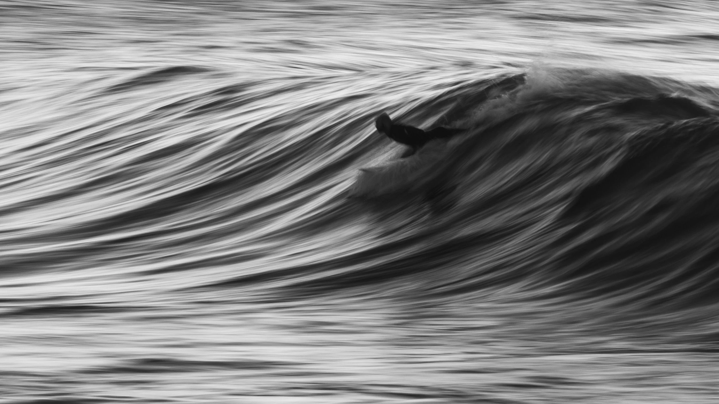 Black and white photograph of a whale surfacing in the ocean with surrounding water ripples.