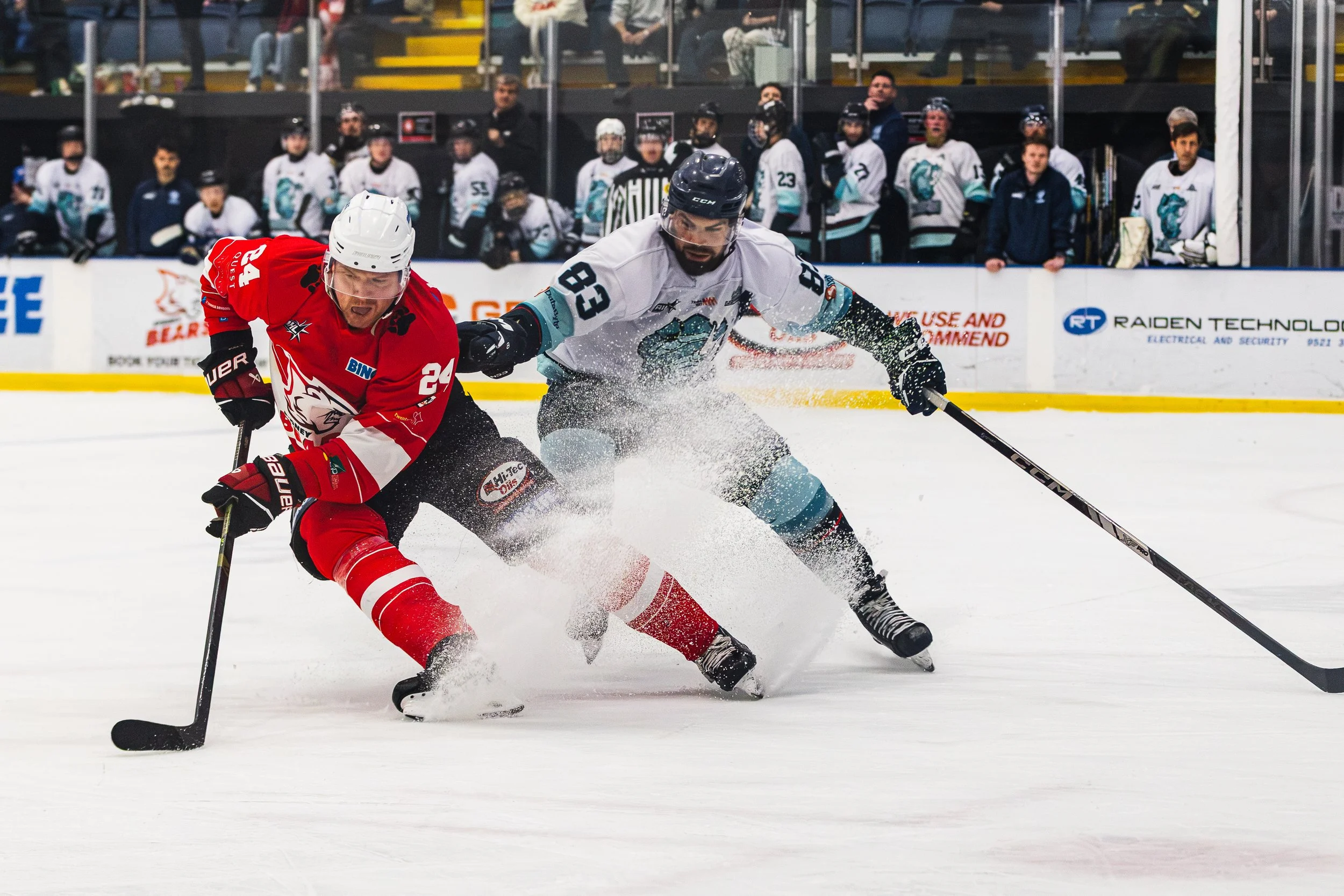 Two ice hockey players in a game competing for the puck, with players and coaches watching from the bench and spectators behind the glass in the background.