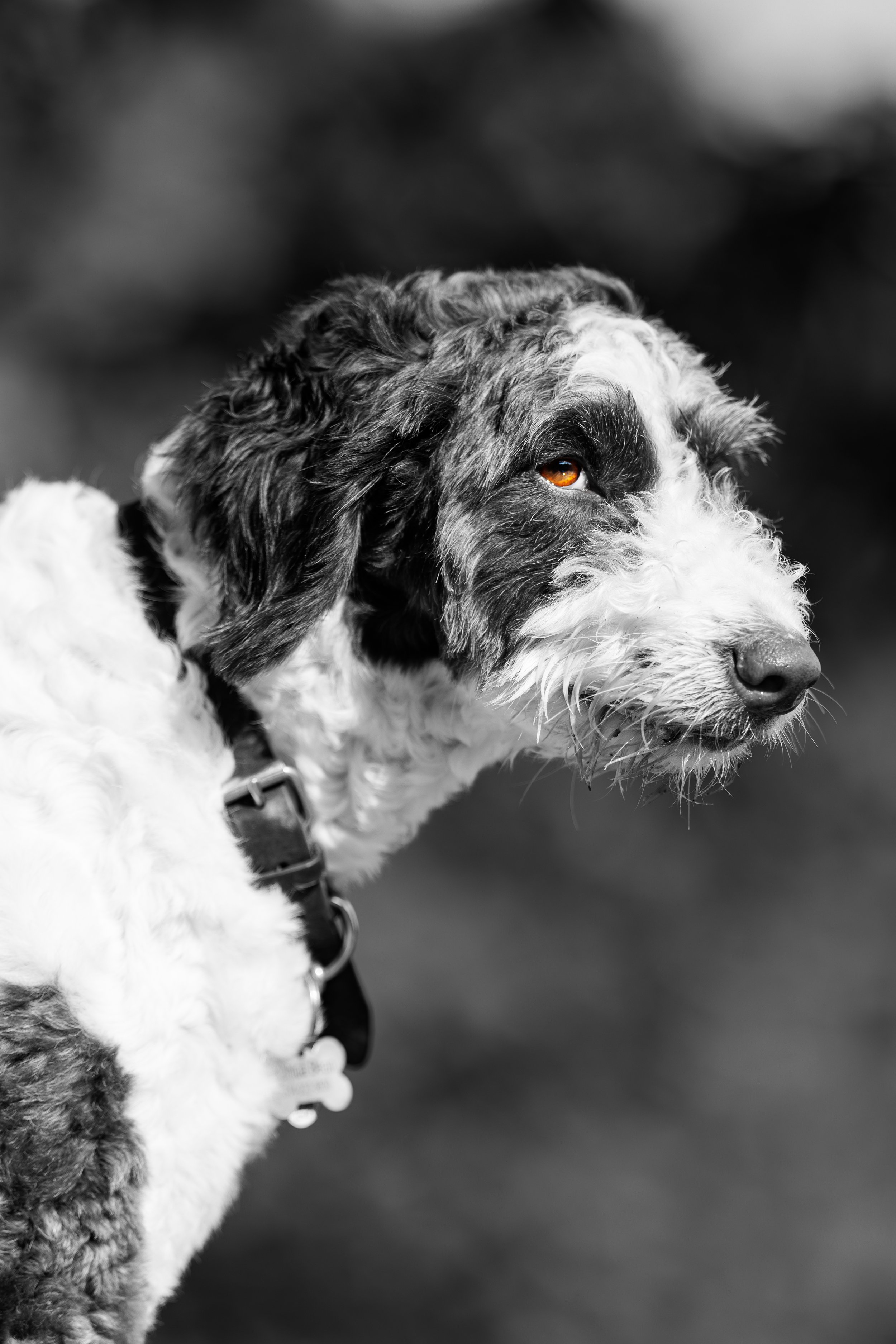 1H1A3764-Edit-3.JPG