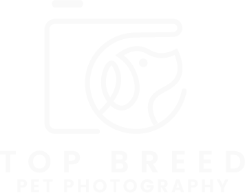 Top Breed Pet Photography