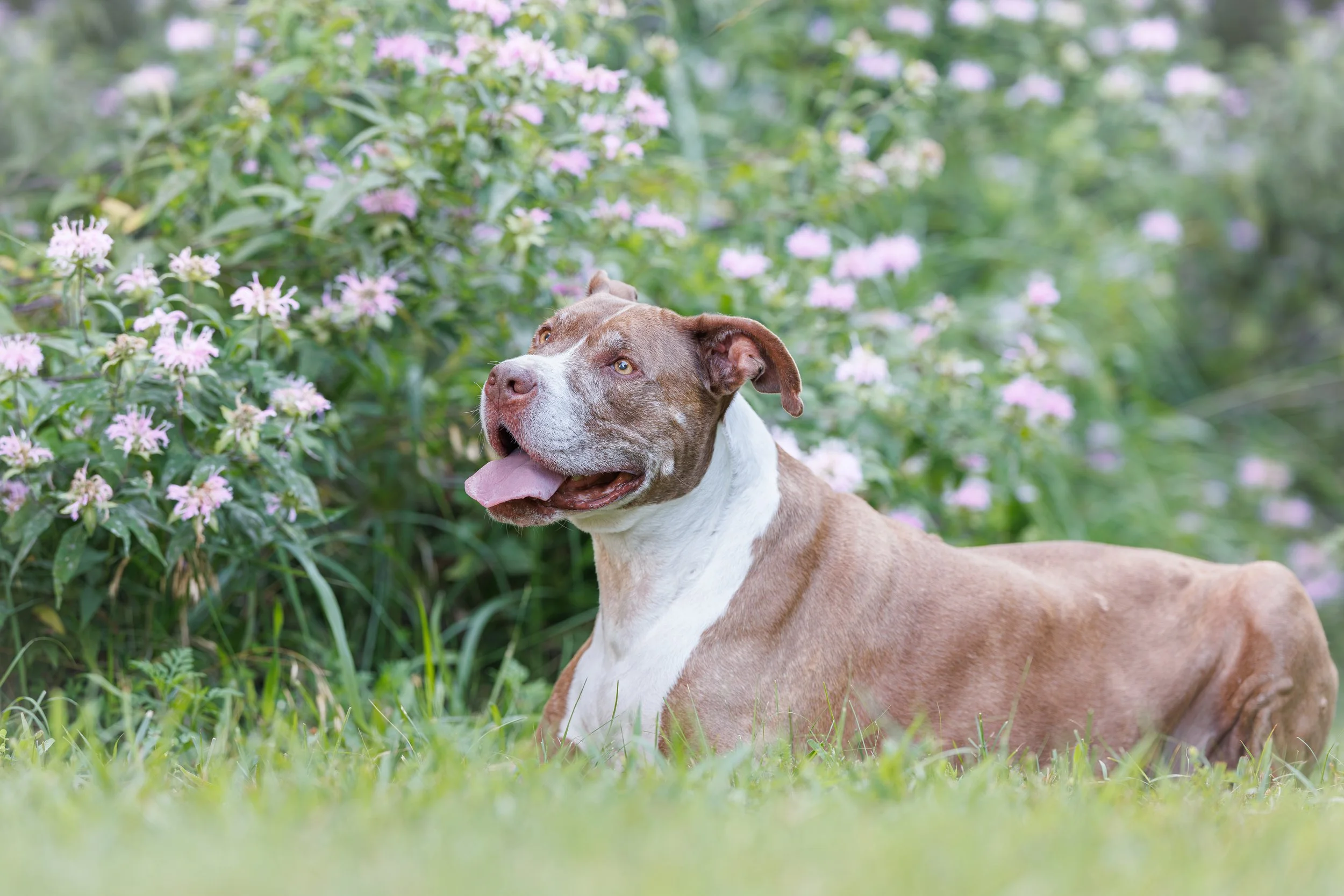 Why I’m Not Bothered by AI as a Photographer