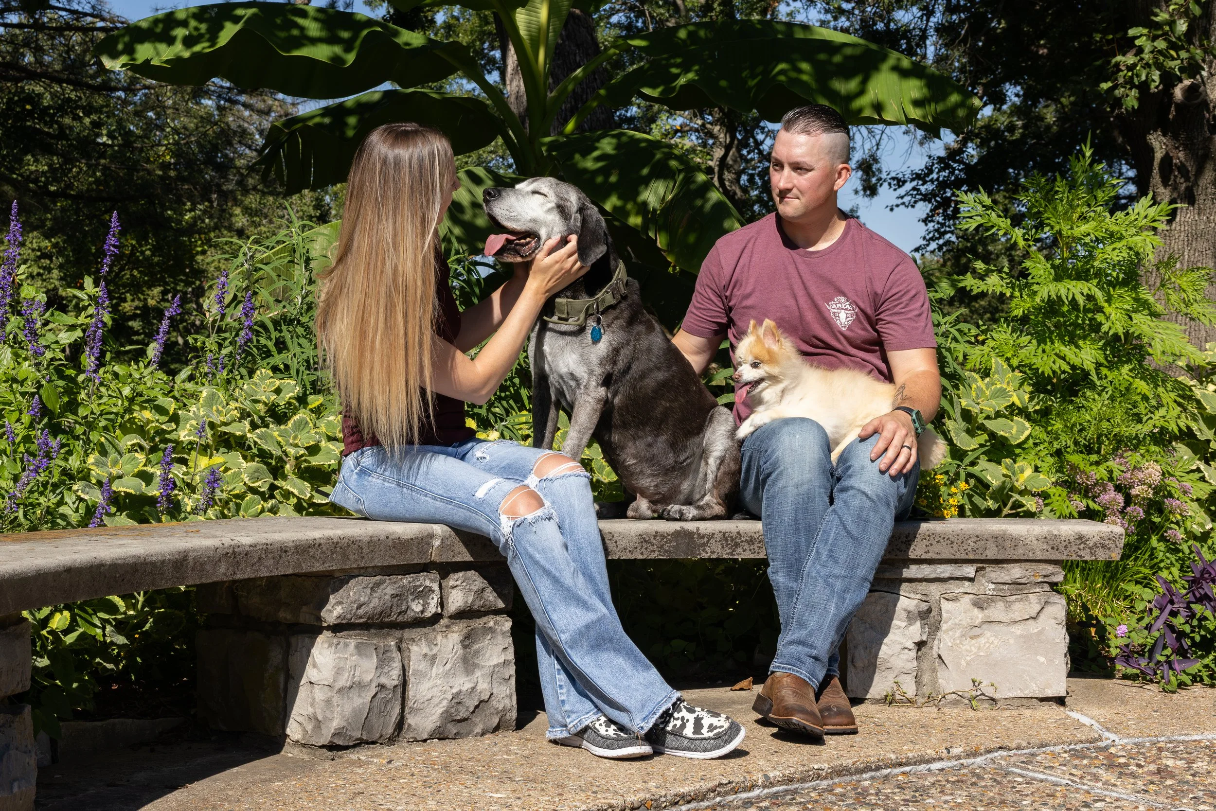 family portrait with dogs in st. louis park