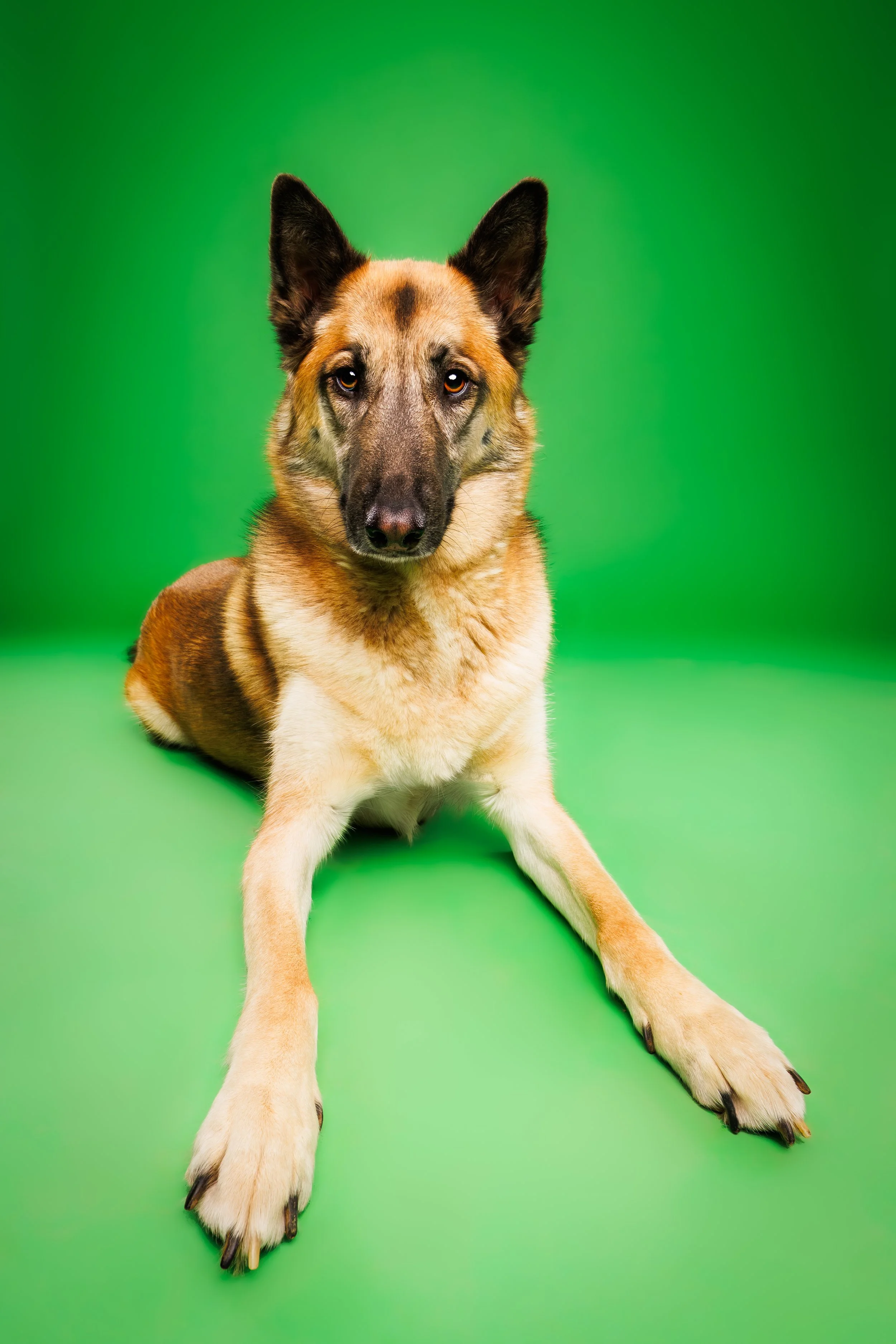 Kamerun_LaBrier_Studio_GSD_DPA_2026.JPG