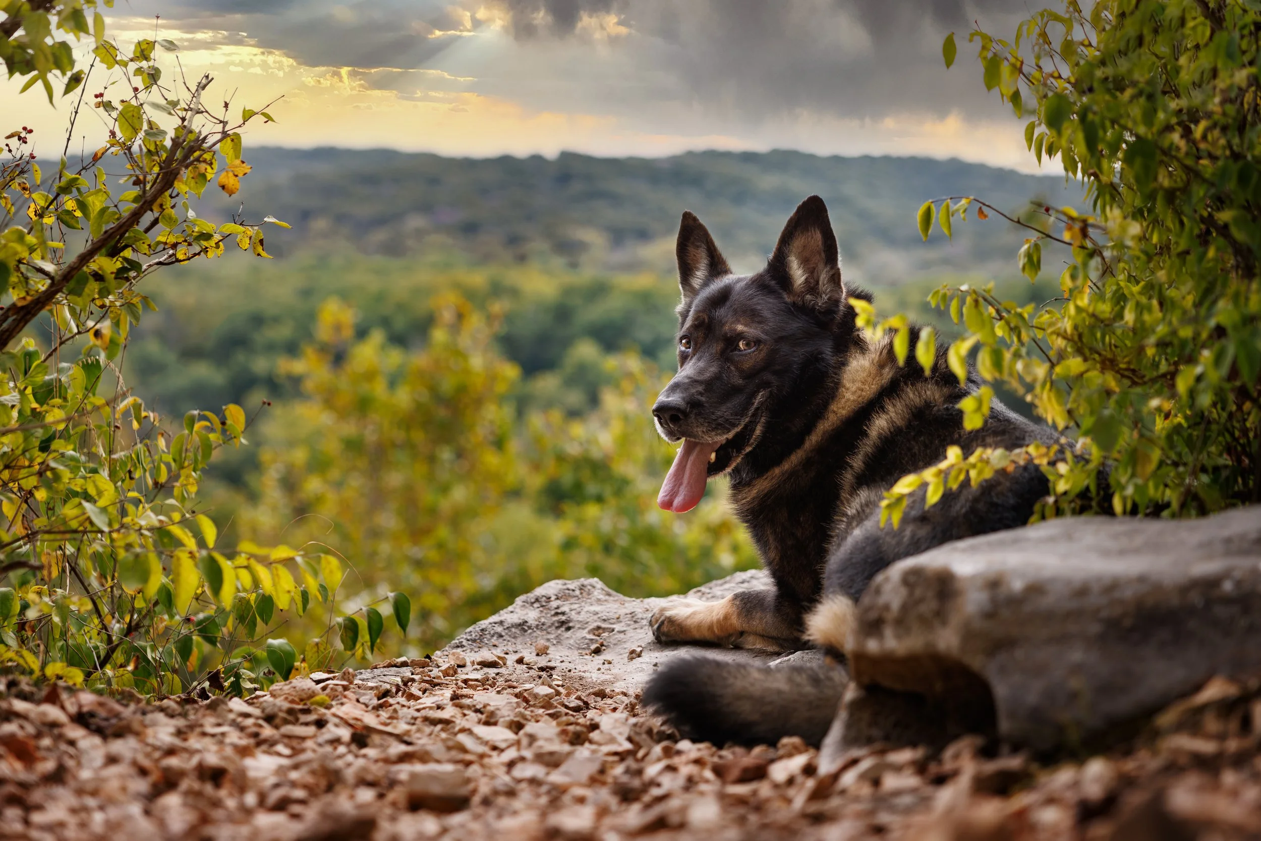 1H1A0434-Edit-Edit.JPG