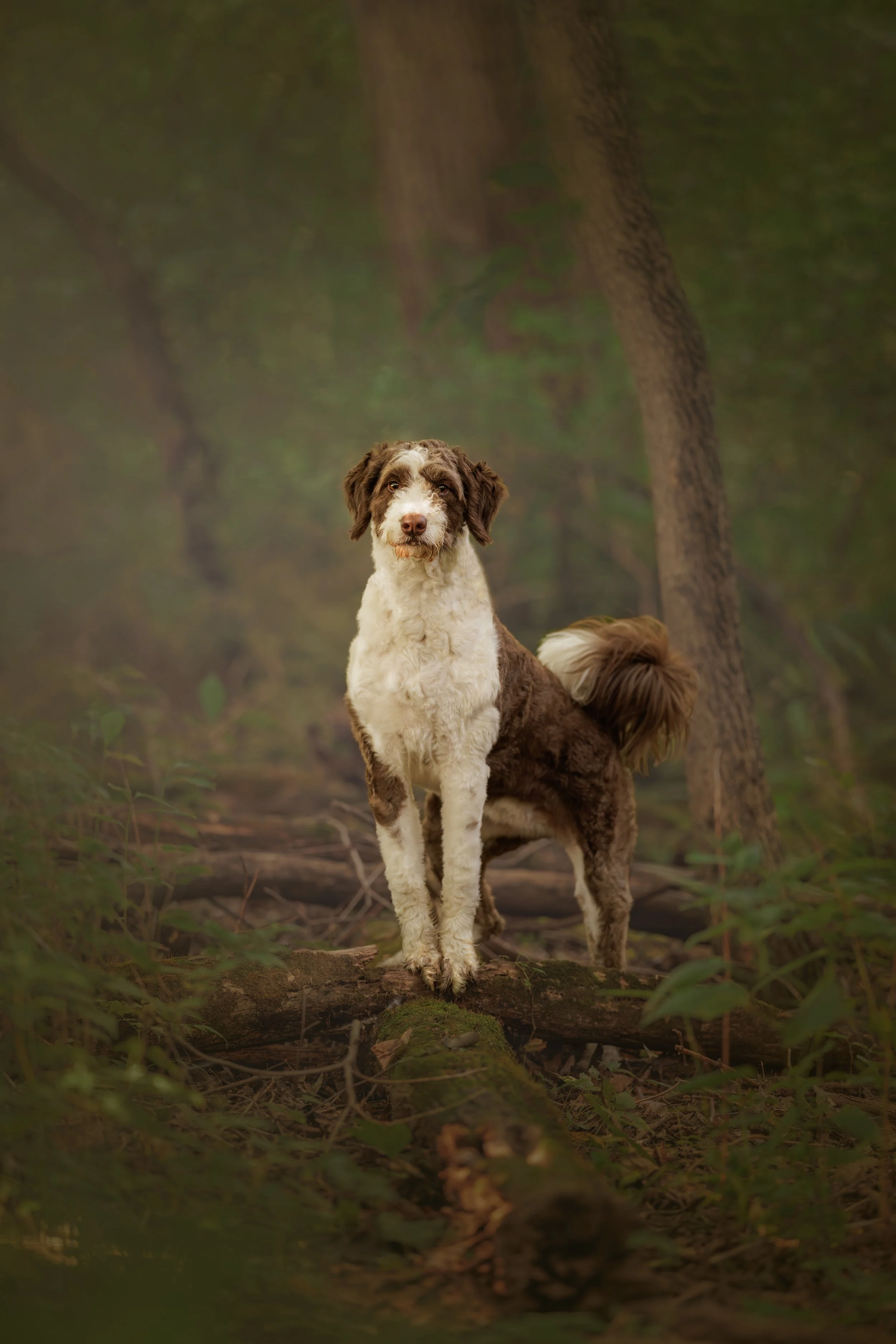 1H1A3684-Edit.jpg