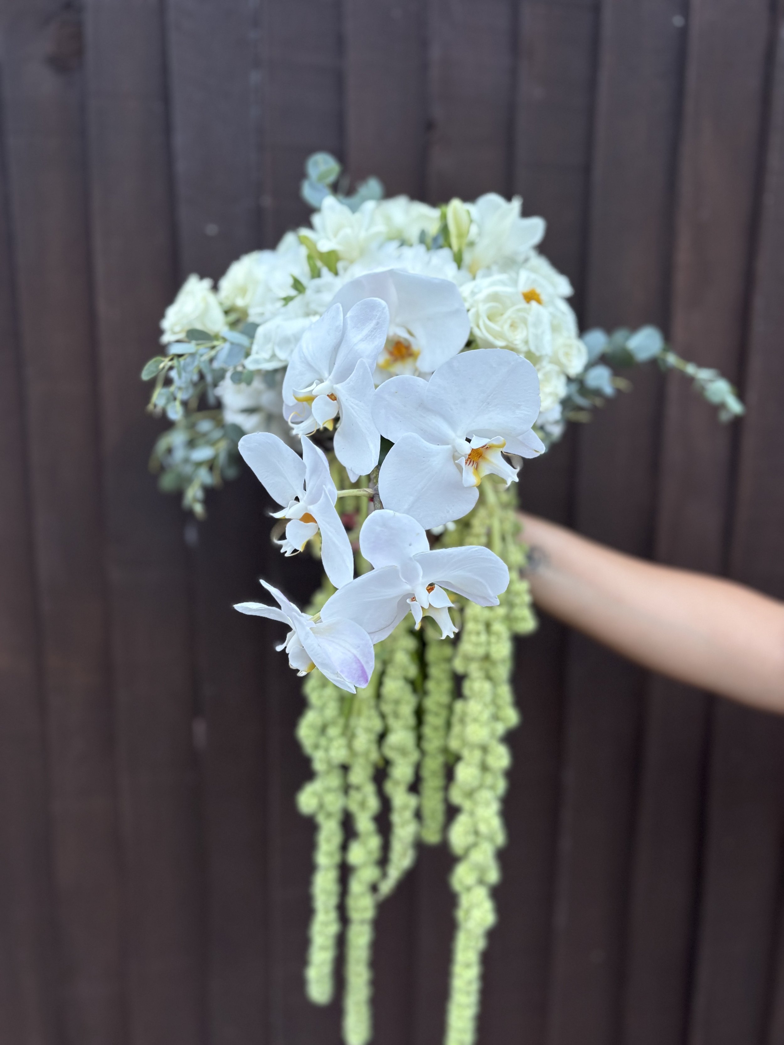 White orchids with yellow centers and long green hanging strands of small green beads or flowers, against a dark wooden background.