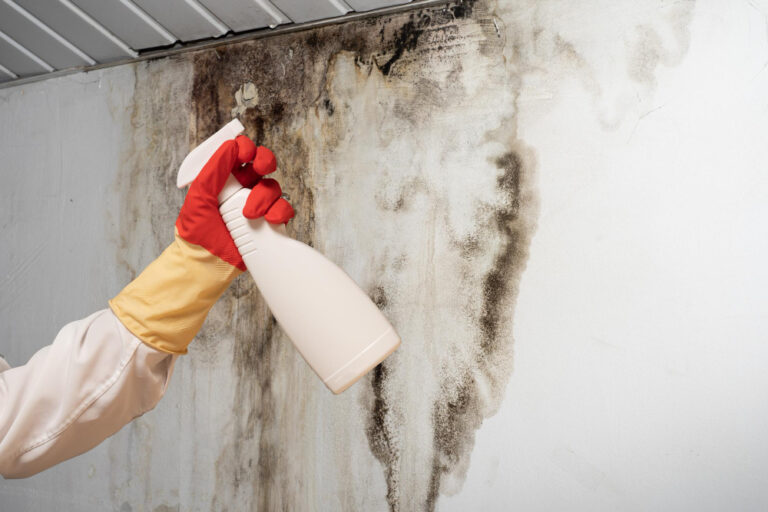 Mold Remediation Near Me: Safe &amp; Complete Mold Removal for Plano Homes