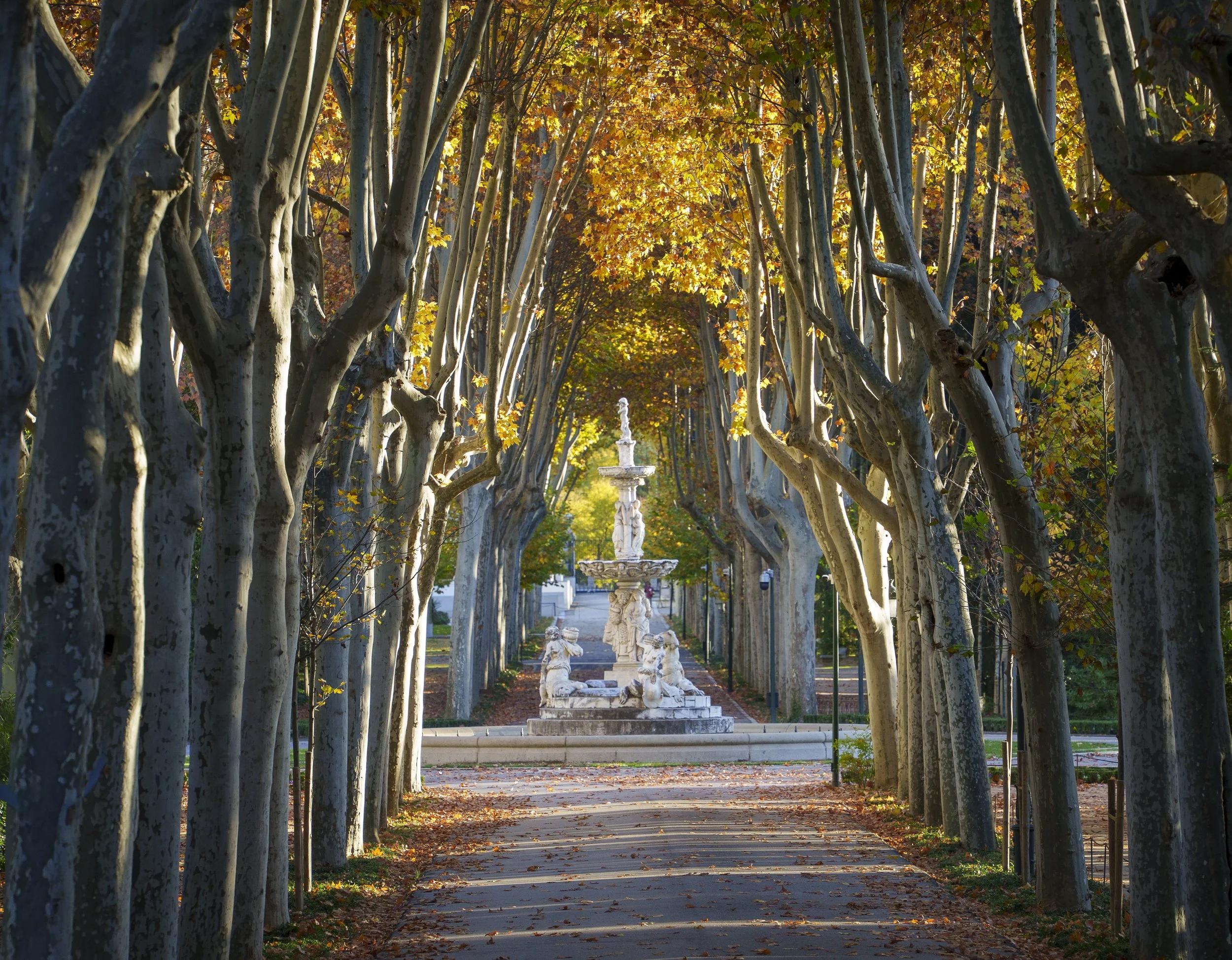 STILLNESS: Shades of Autumn | Madrid, Spain
