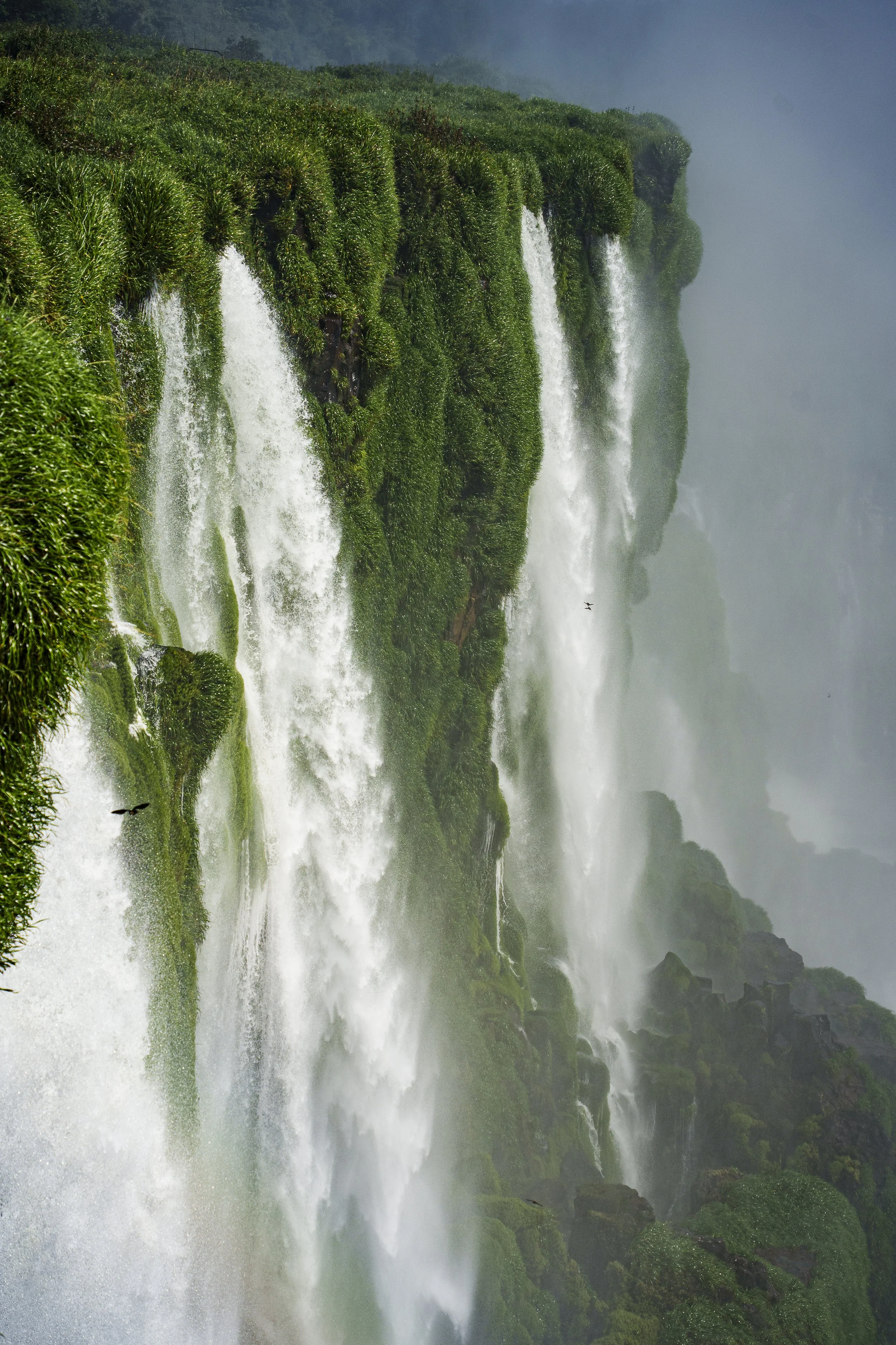 MOVEMENT: Majestic Serenade | Iguazu Falls, Brazil