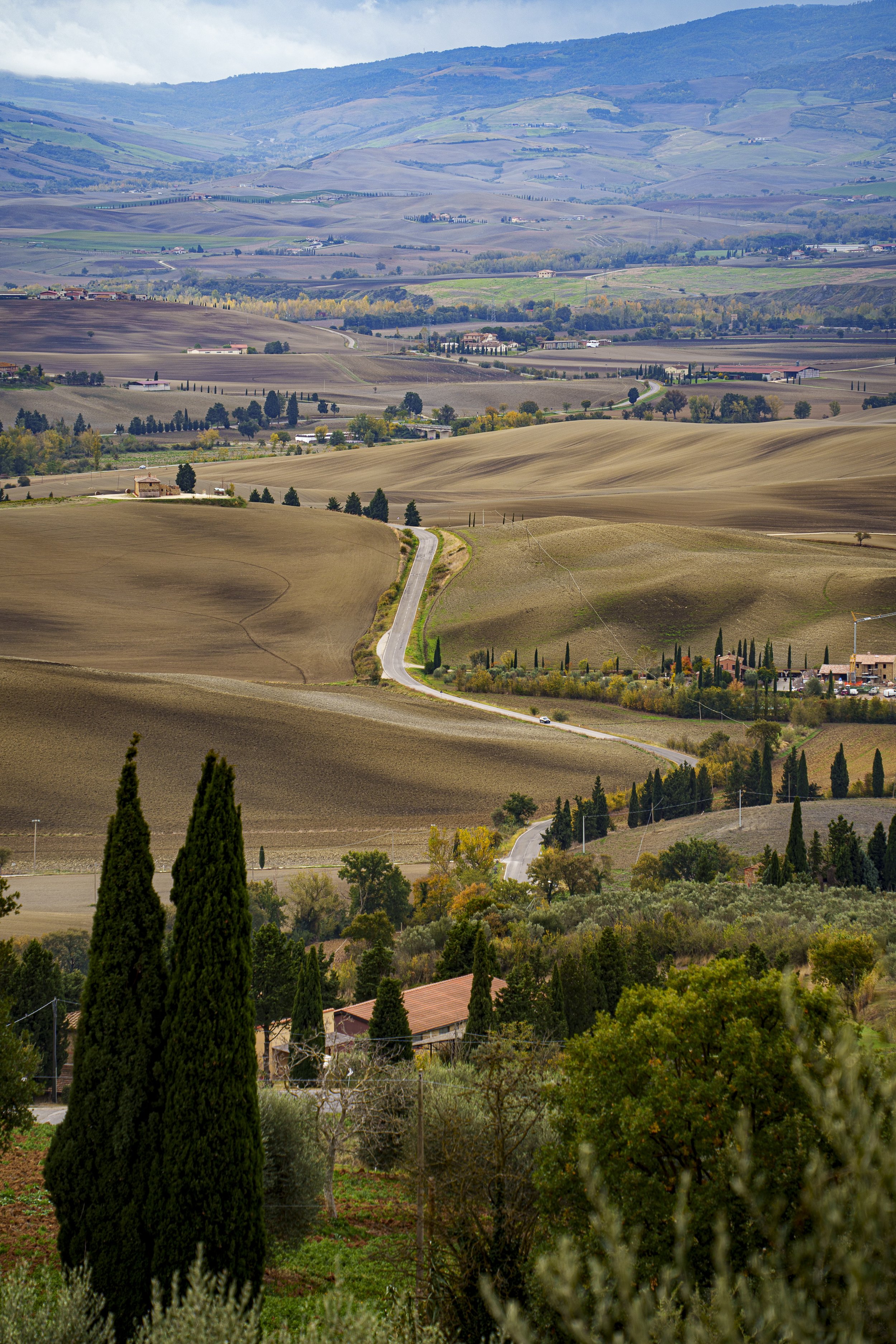 ENCOUNTERS: Landscape Architecture of the Val d'Orcia, Tuscany
