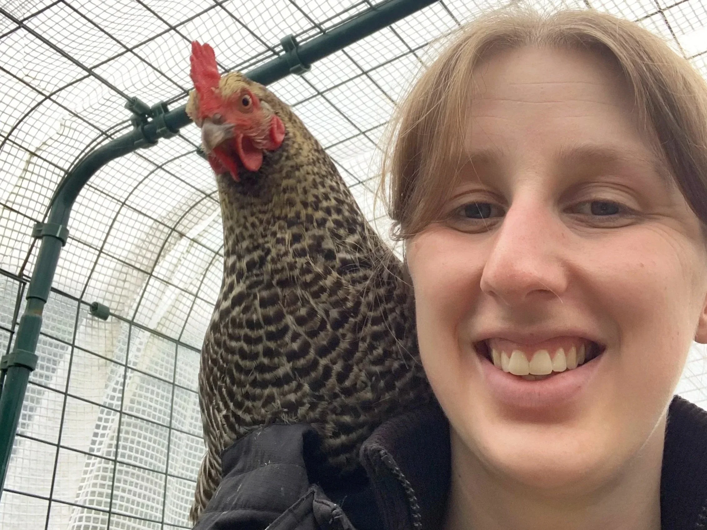 A woman smiling widely with a chicken perched on her shoulder inside a wire enclosure.