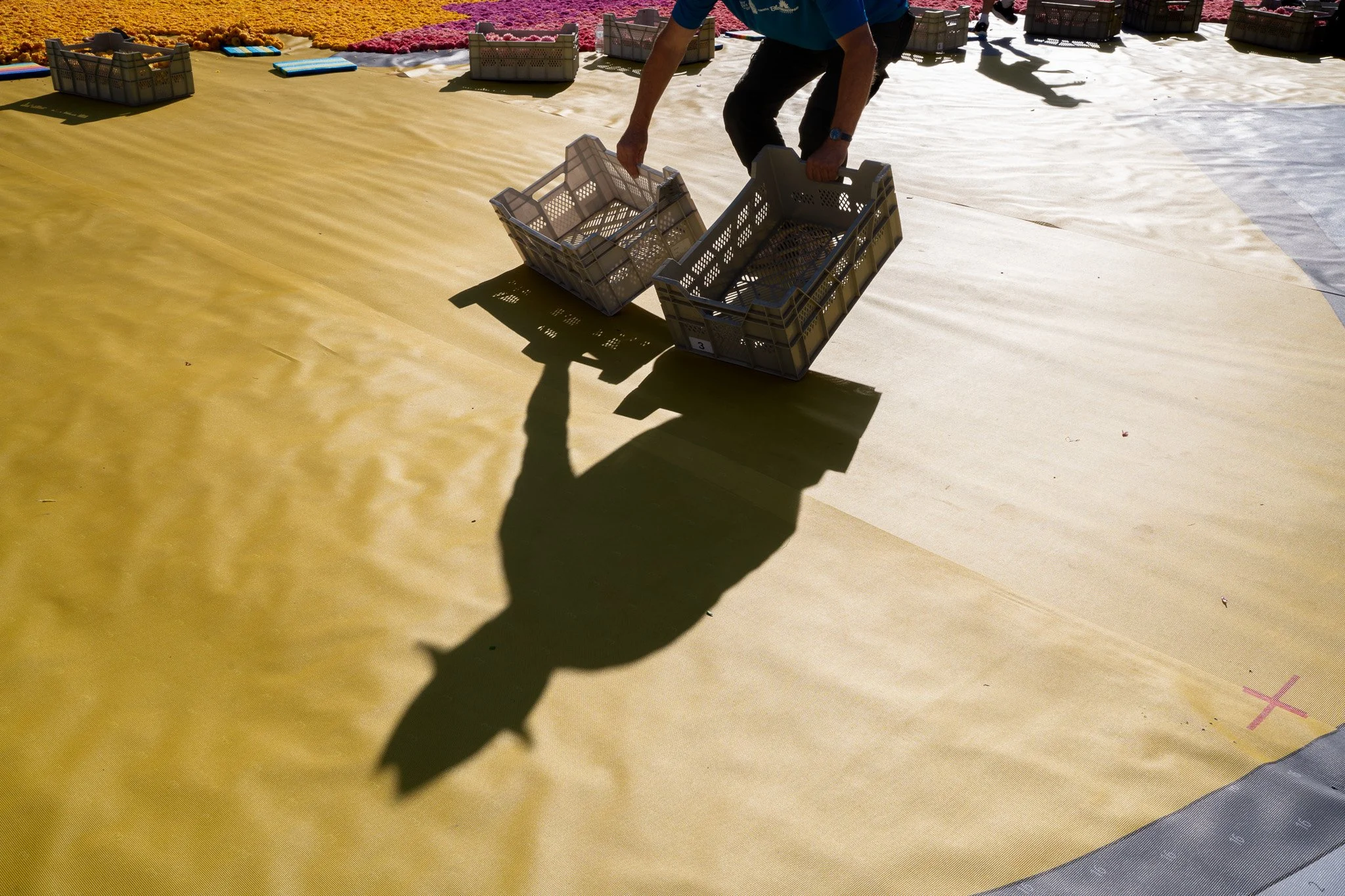 DSC07716.jpg