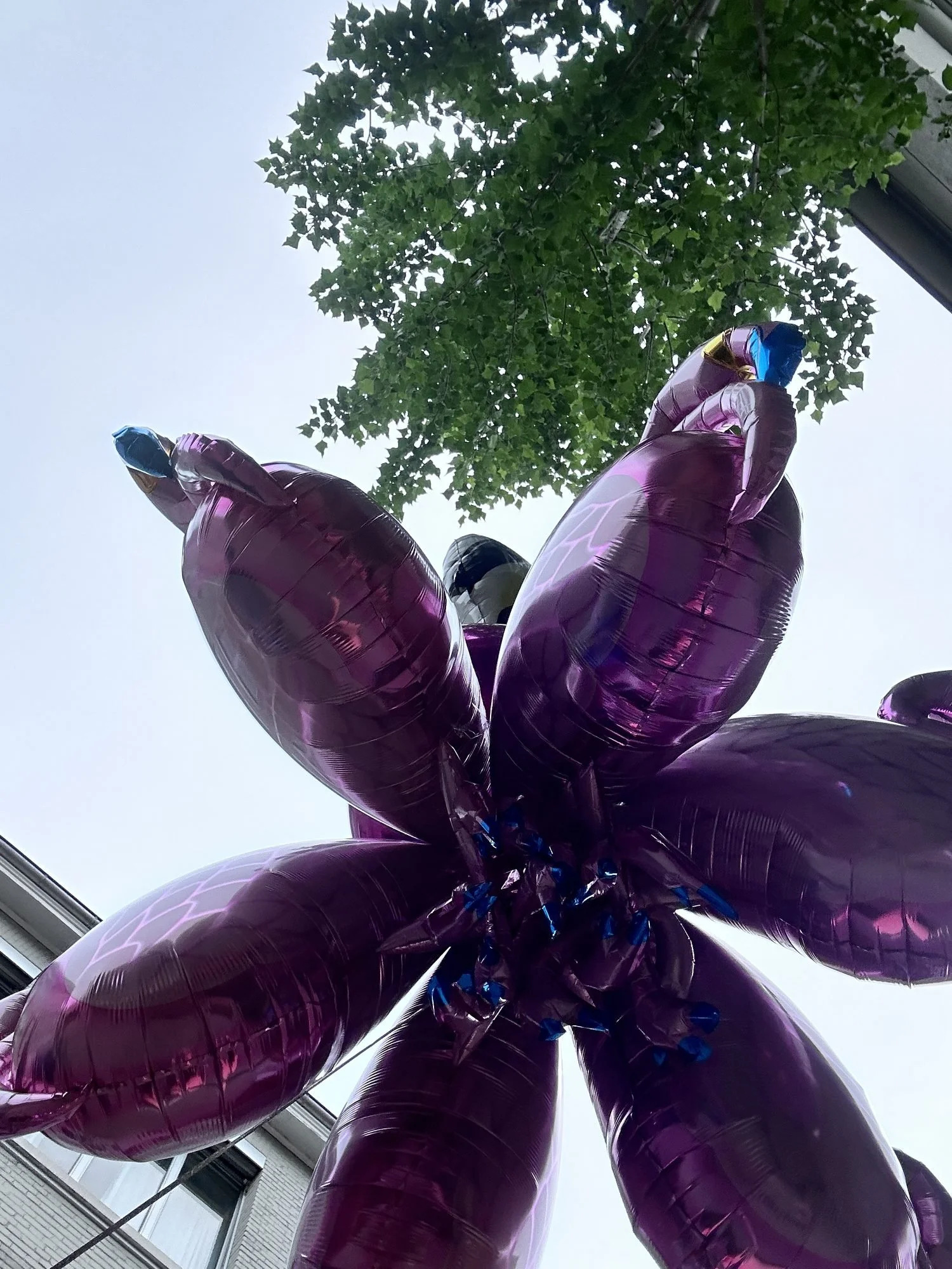 peng-ballonblume-02.jpg