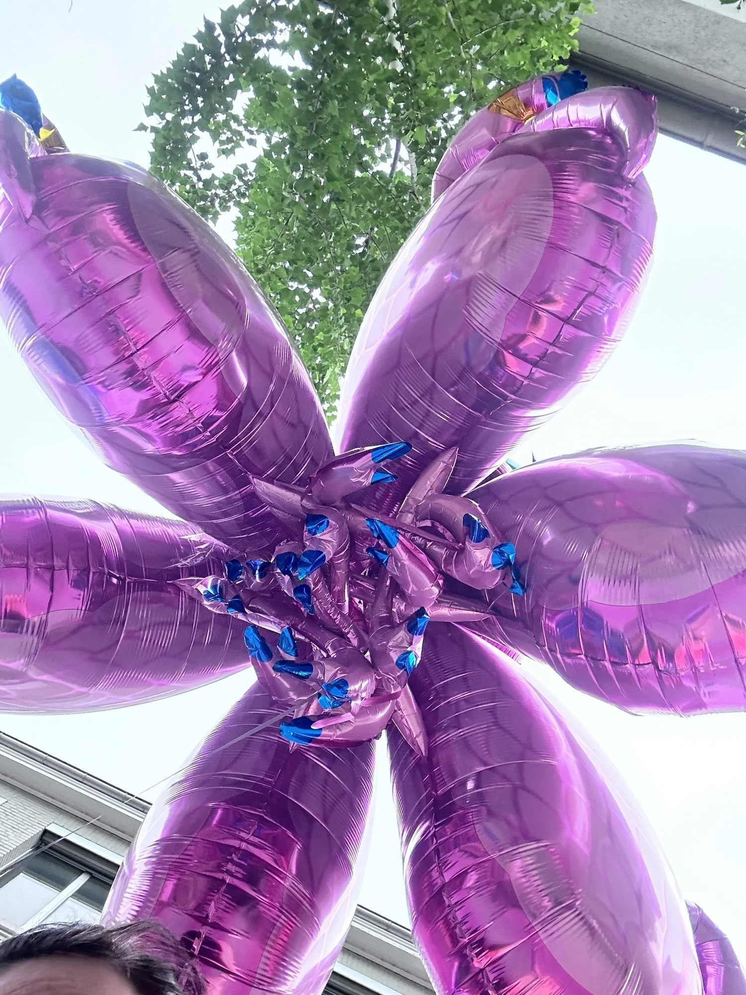 peng-ballonblume-01.jpg