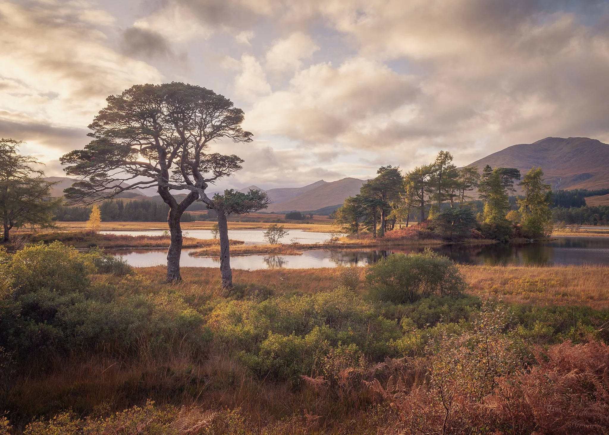 Landscapes