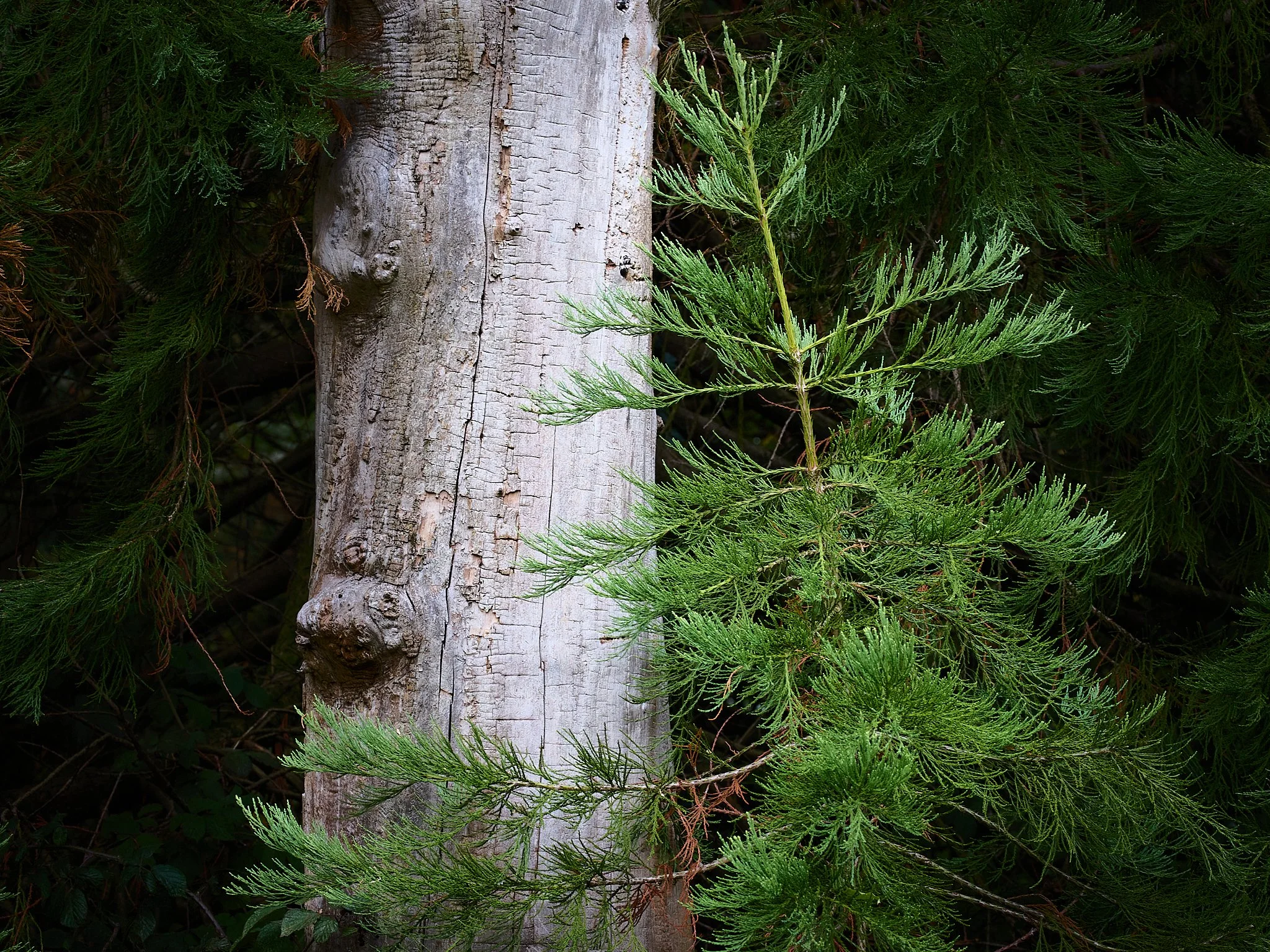 _67A9028.jpg
