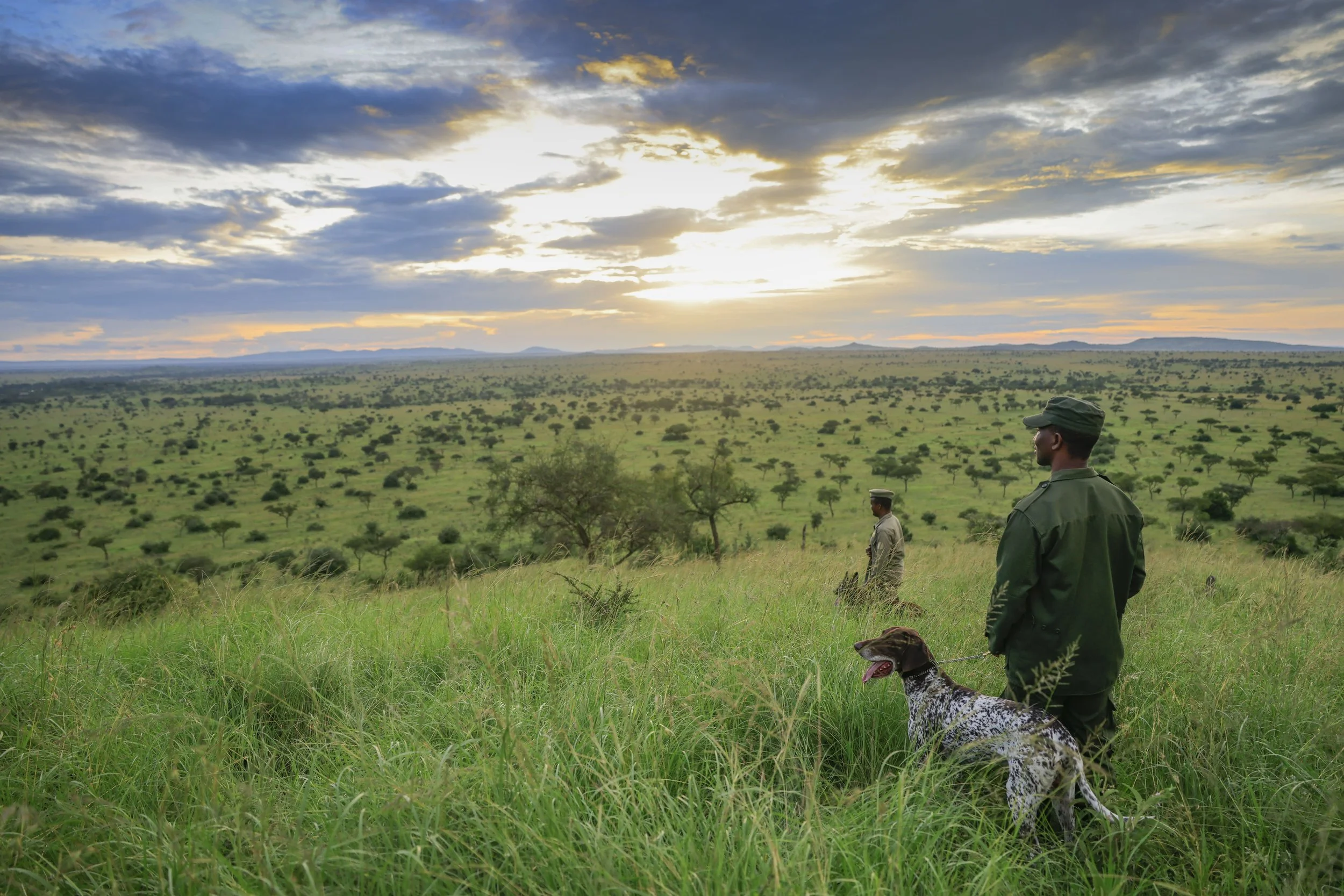 Two men in military uniforms standing in a grassy field with a dog, overlooking a vast landscape of shrubs and trees under a cloudy sky at sunset.