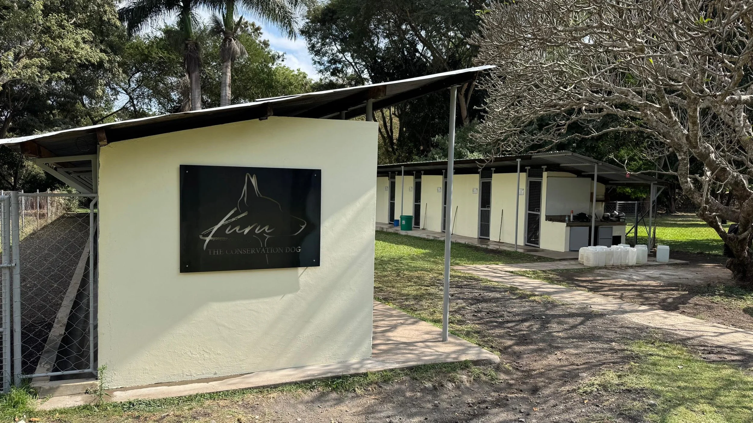 A conservation dog facility with a yellow wall, a black sign with a dog silhouette and the words 'Fur' and 'The Conservation Dog', and outdoor dog kennels with metal doors, trees, and some outdoor supplies.
