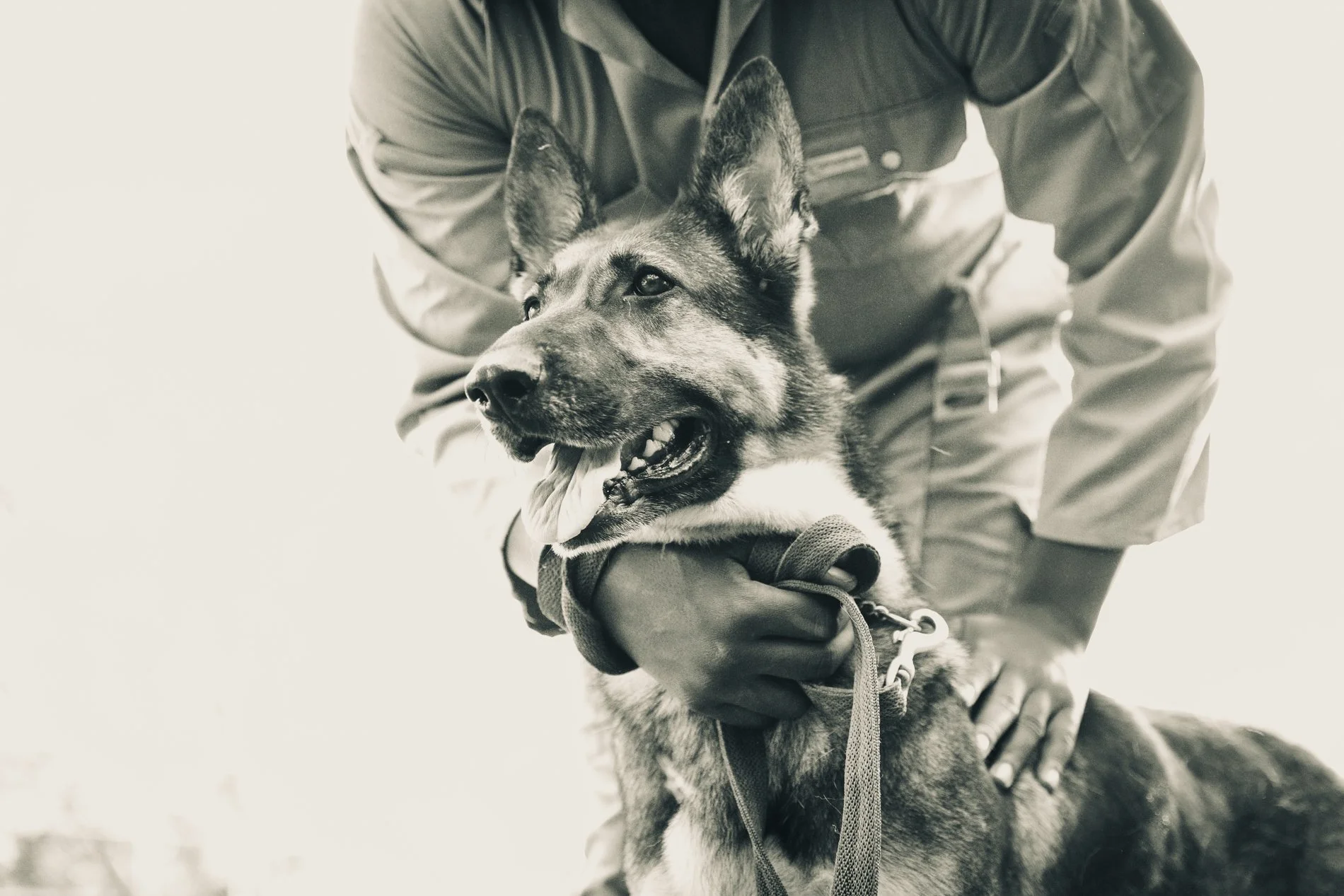 A person holding a German Shepherd dog, both looking to the side. The image is in black and white.