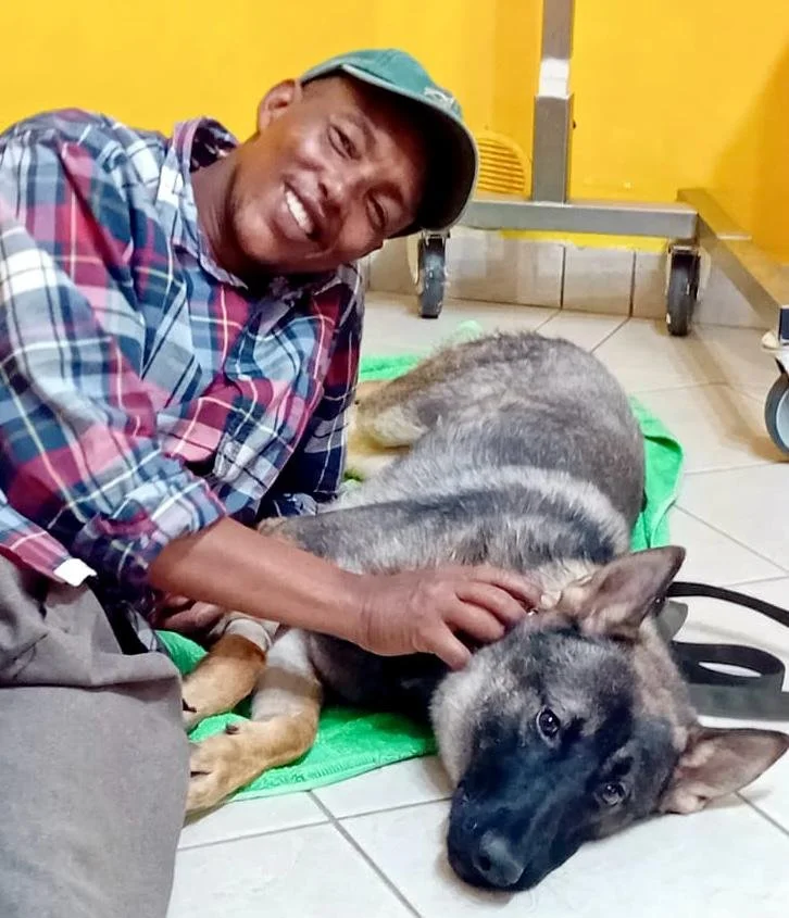 A man smiling while petting a large, lying German Shepherd dog on a green mat in a room with yellow walls.
