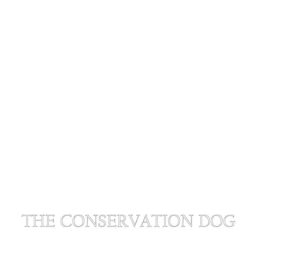 Logo featuring a line drawing of a dog's profile with the word "fur" integrated into the design and the text "THE CONSERVATION DOG" underneath.