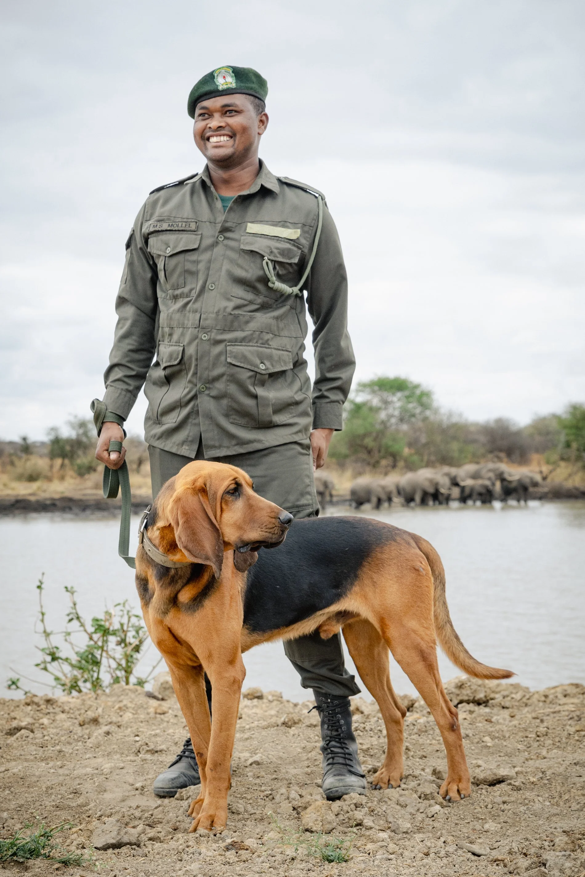 A smiling man in a military uniform standing by a large bloodhound dog near a body of water, with a herd of buffaloes in the background under a cloudy sky.