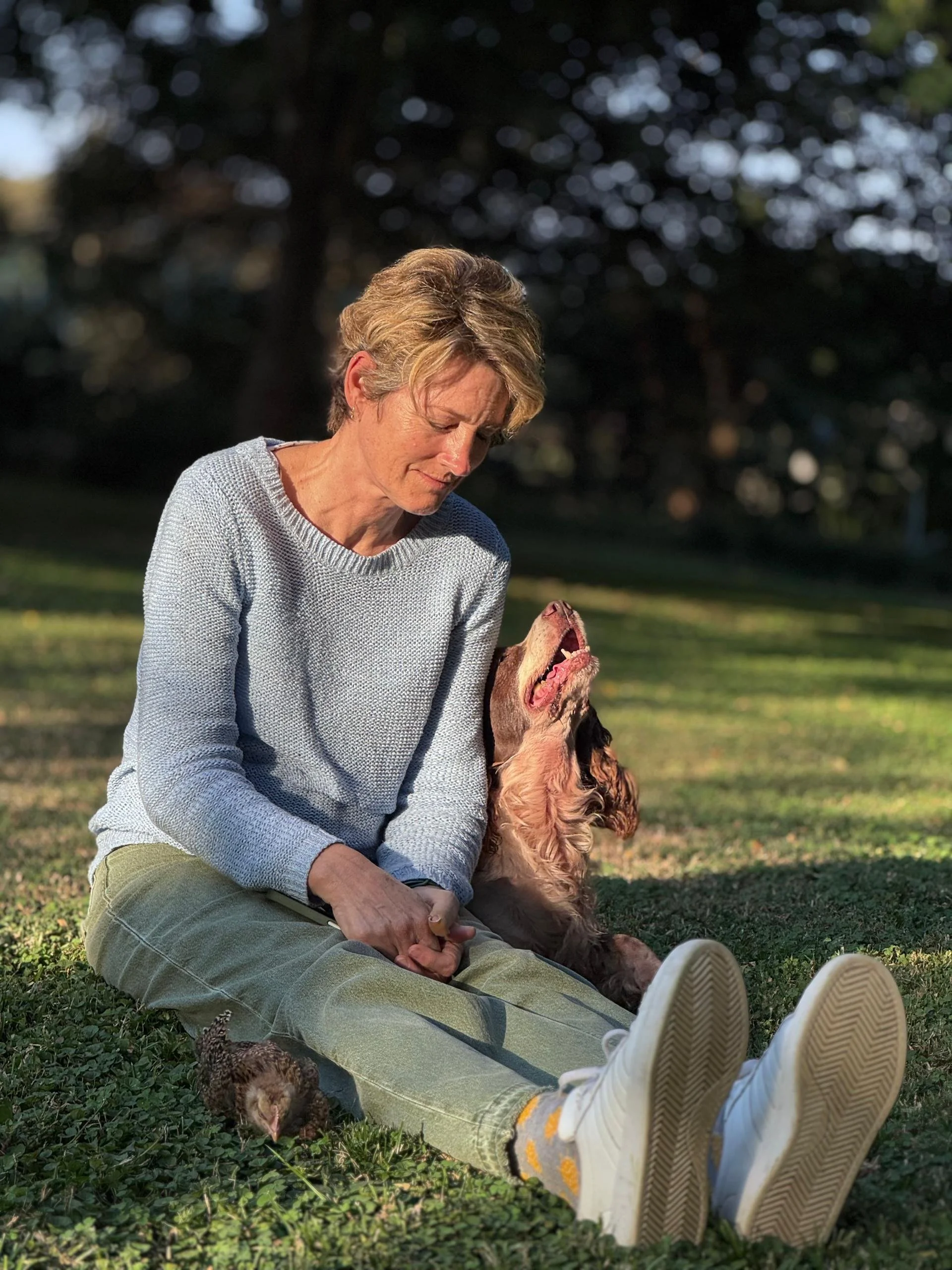 A woman sitting on the grass in a park, smiling at a dog near her. The woman has short brown hair and is wearing a light blue sweater and khaki pants. The dog is a large breed, sitting close to her, looking up at her. In the background, there are trees with blurred leaves and patches of sky visible through the branches.