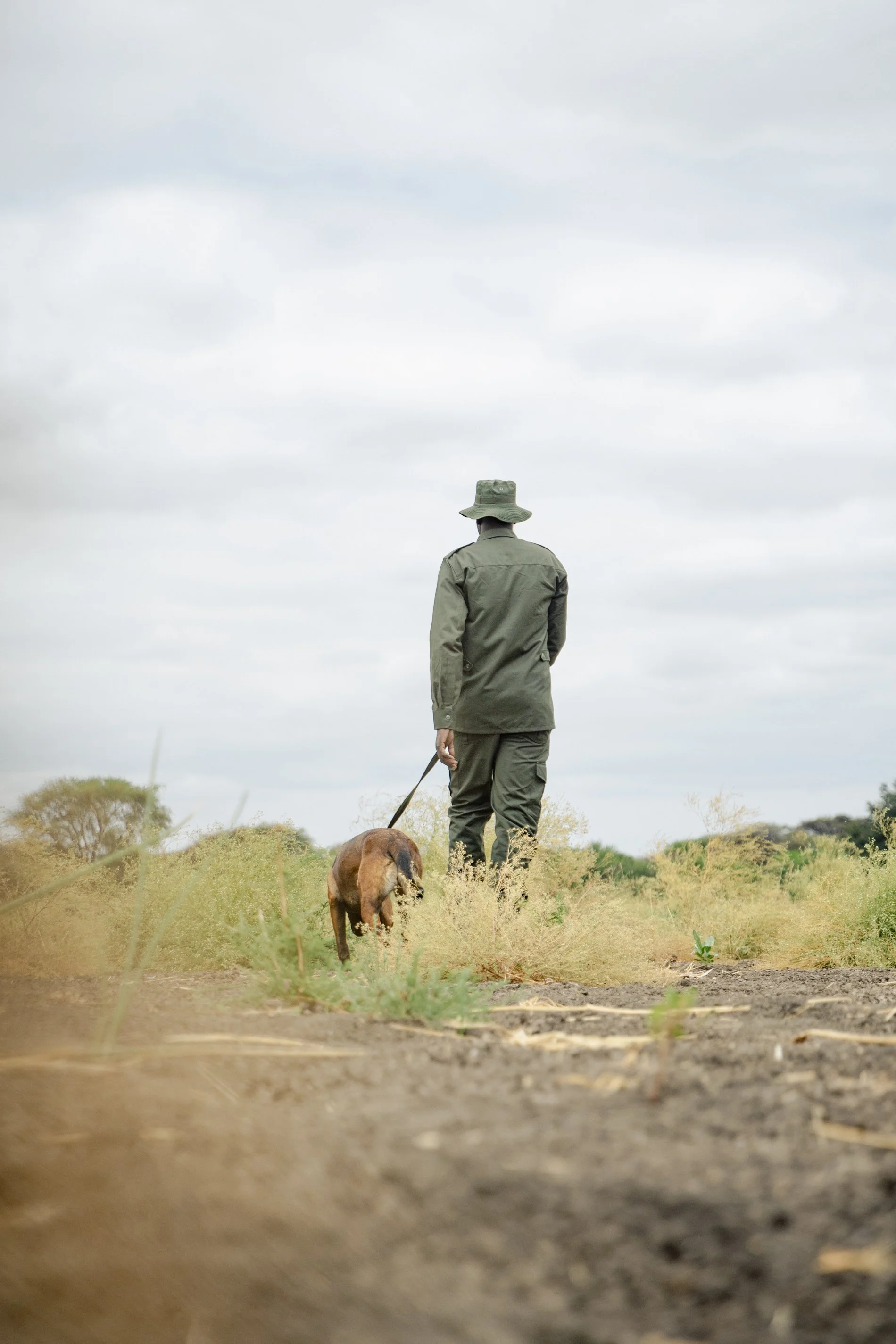 A person dressed in outdoor clothing walking a dog across a grassy field on a cloudy day.