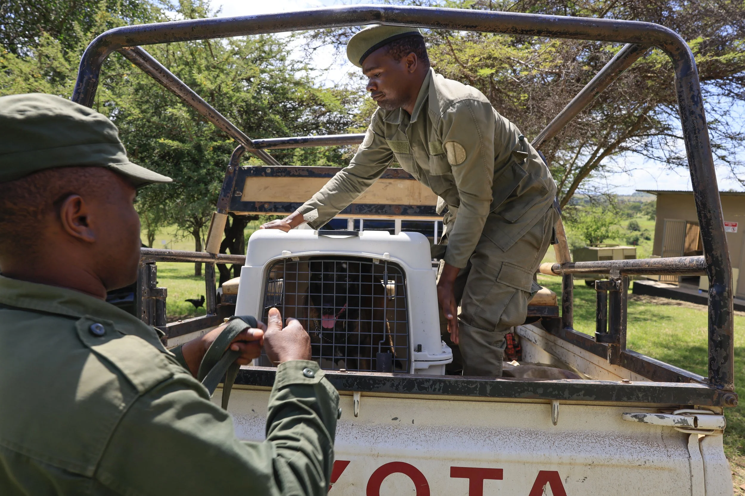Two men in military uniforms, one sitting and one standing, handling a pet carrier with a dog inside, on a truck bed outdoors with trees and a building in the background.