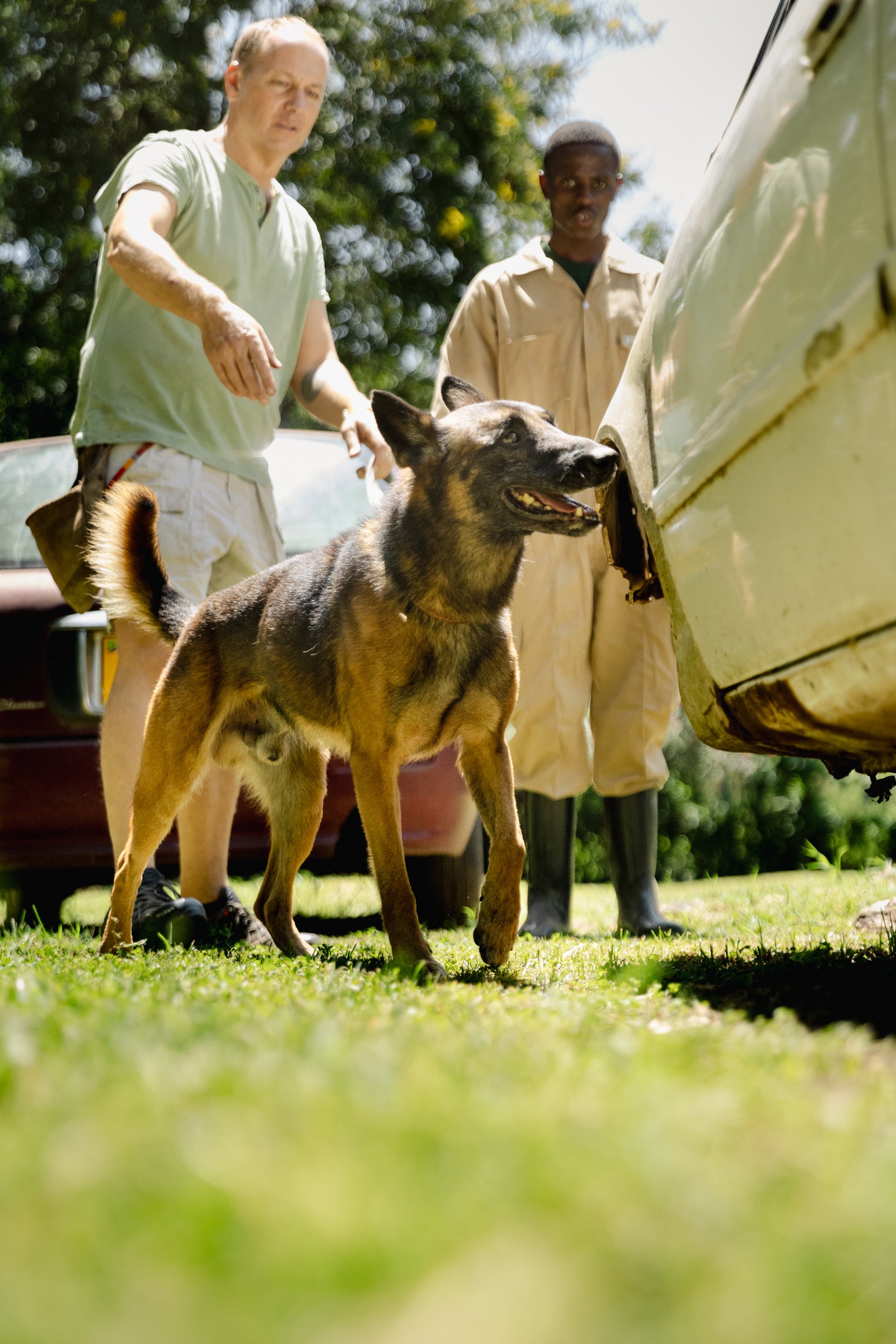 Two men and a German shepherd dog in a grassy outdoor area with trees, a tan vehicle, and bright sunlight.