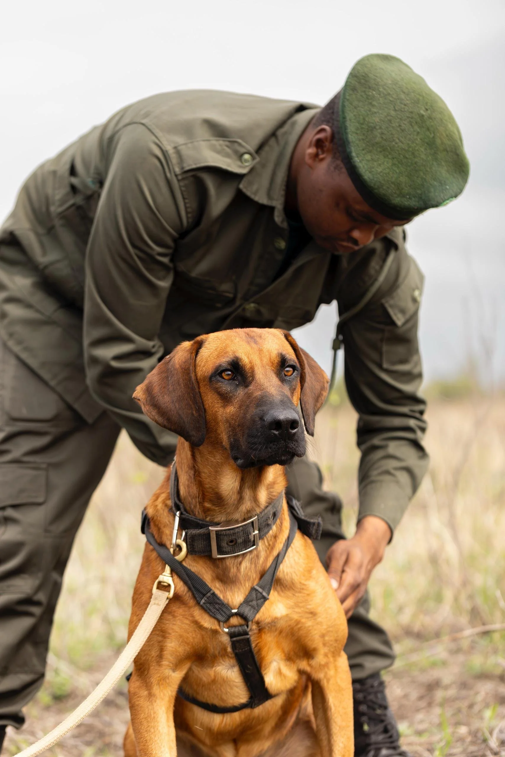 A person wearing a green cap and dark clothing crouches next to a brown dog with black markings, both outdoors in a grassy area on a cloudy day.