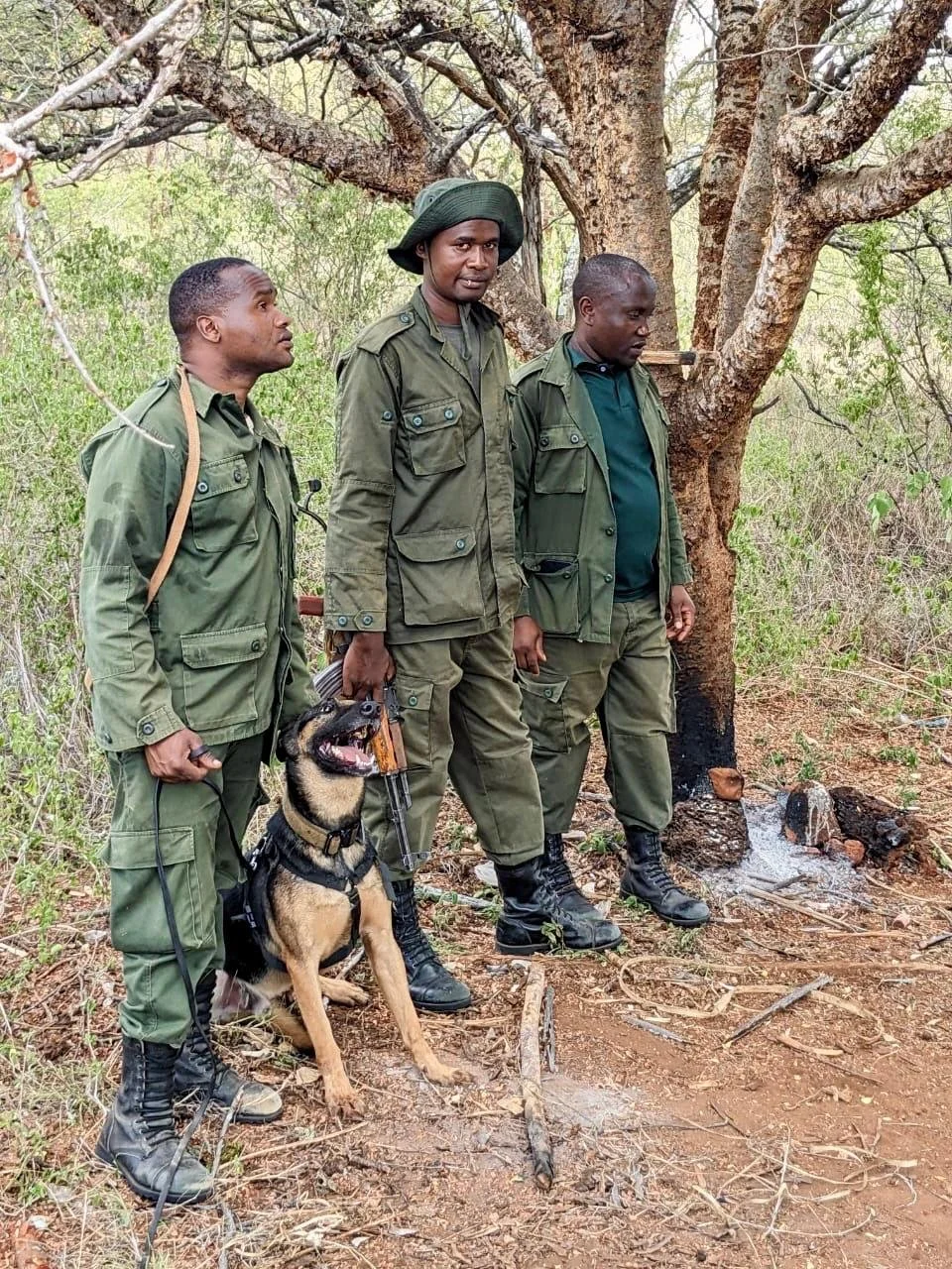Three men in green military uniforms standing outdoors near a tree, with a Belgian Malinois dog sitting and wearing a harness. The ground is dirt with some small rocks and burnt wood.