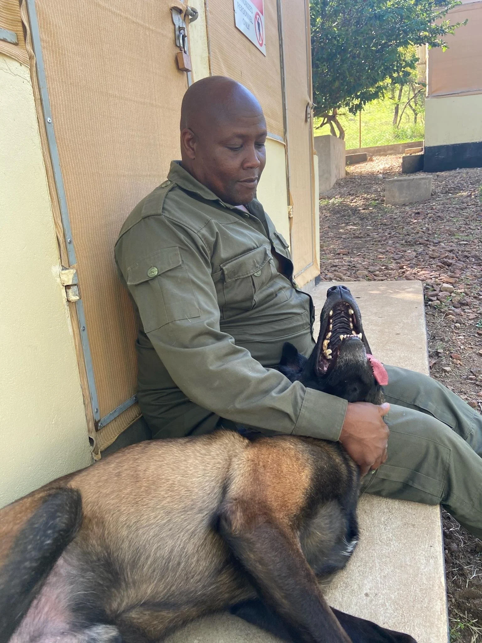 A person in a green uniform sitting against a yellow wall with a sleeping dog in front of him. The person is looking down, and the dog's head is near his lap.