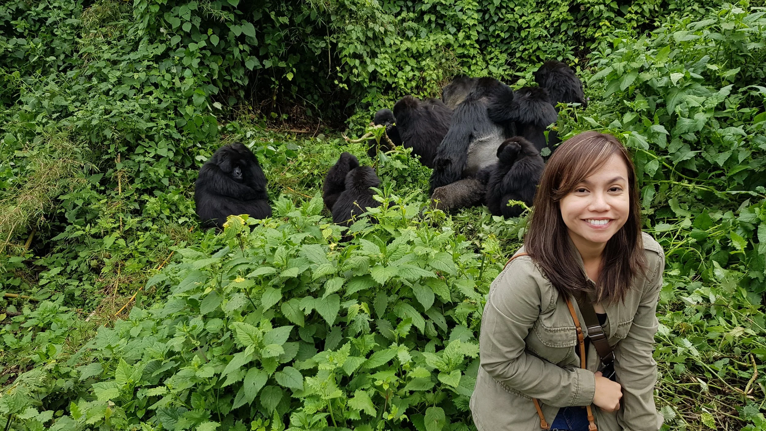 Virunga Mountains, Rwanda.jpg