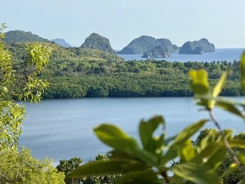 Calauit Island