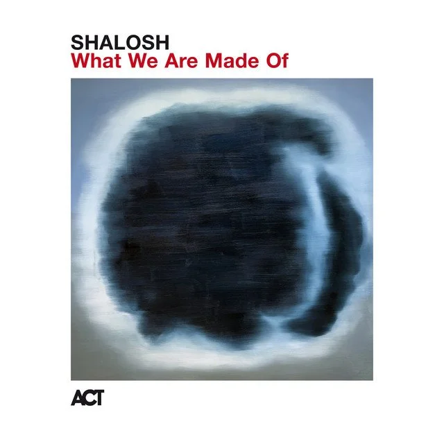 SHALOSH - What We Are Made Of