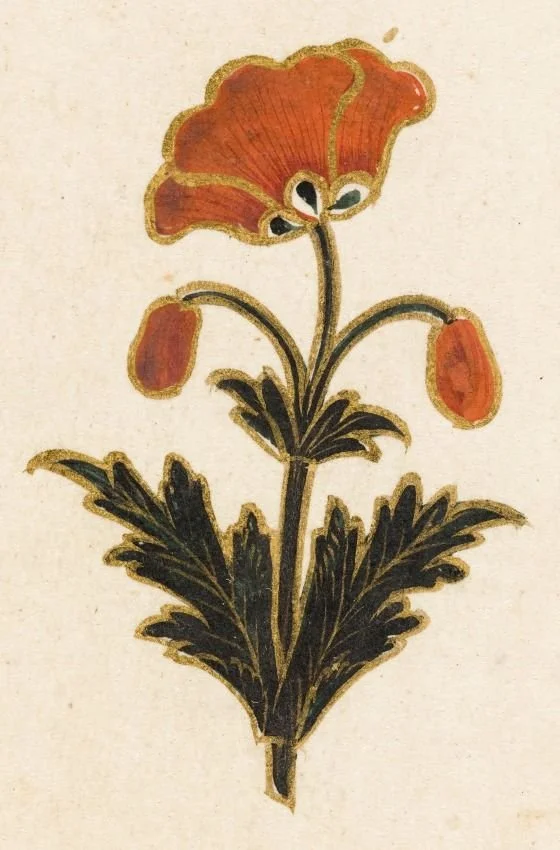 A stylized illustration of a flower with orange petals, black and white eyes, and green outline, with dark green leaves and buds, on a beige background.