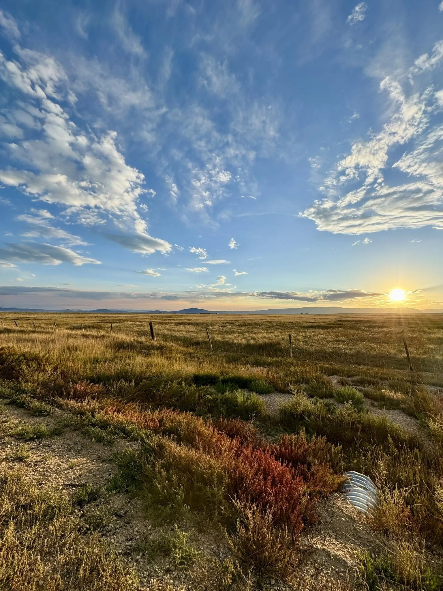 Open field with grass and shrubs, fence posts scattered throughout, under a blue sky with wispy clouds, with the sun setting on the horizon.