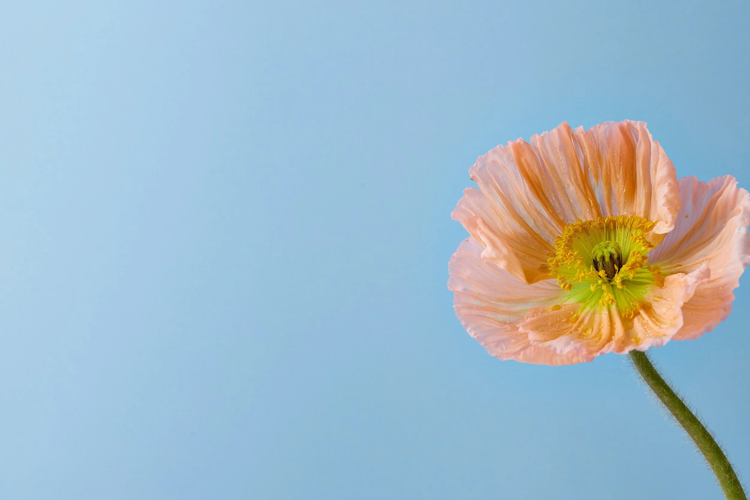 Tips for finding a therapist