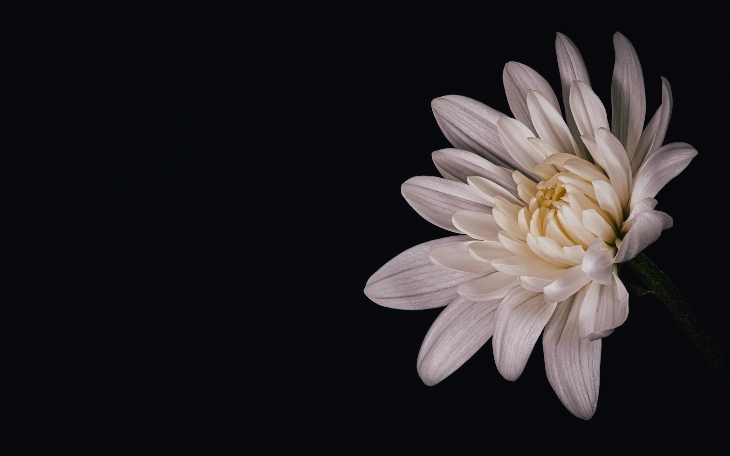 Books about grief and loss