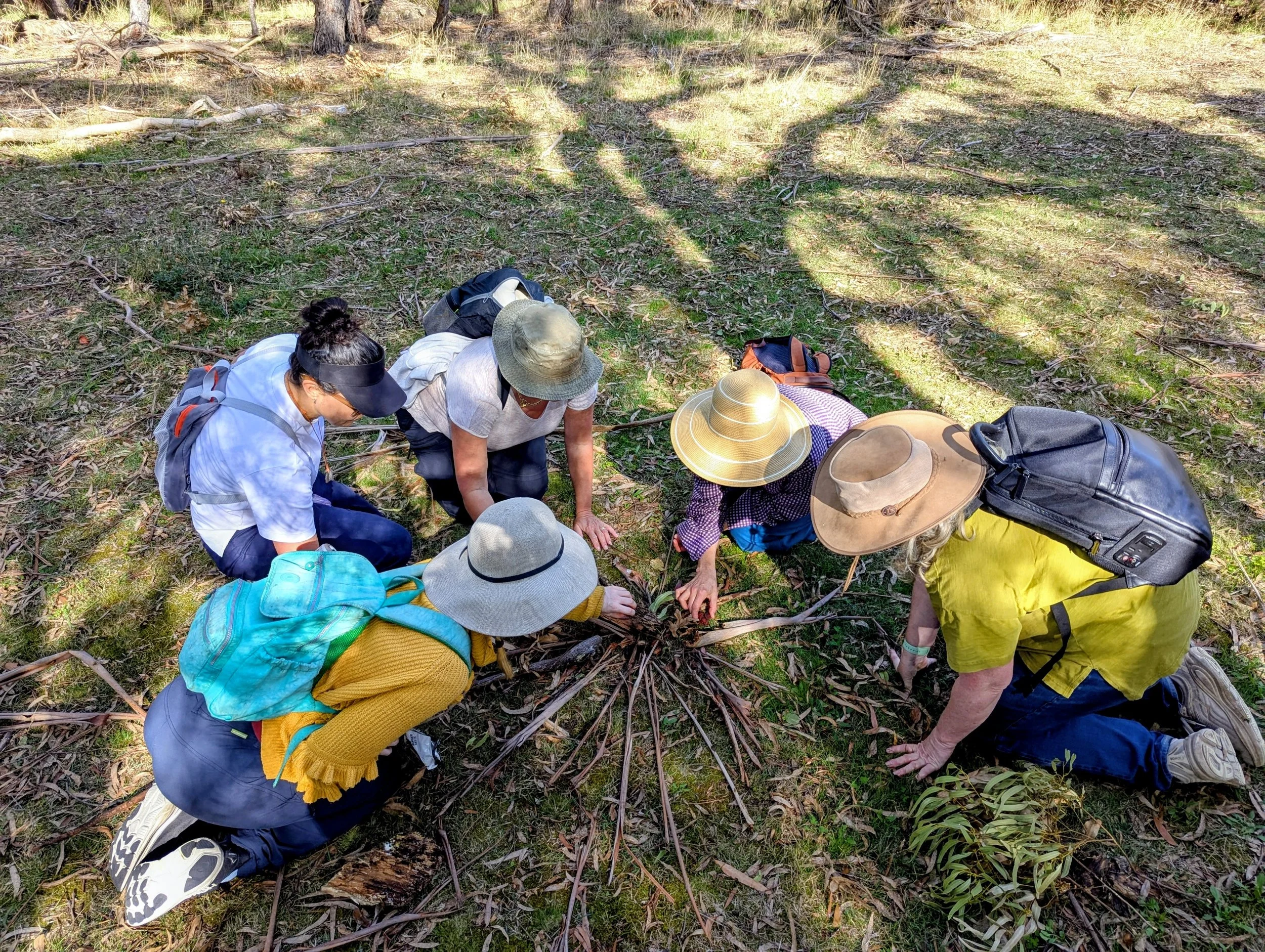 Group of people kneeling and examining the ground in a forested area, some wearing hats and backpacks, during daytime.