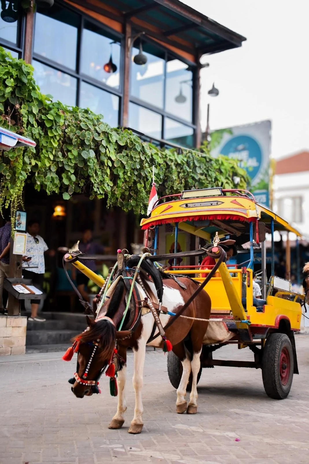 What to Do on Your Arrival Day in Gili Trawangan