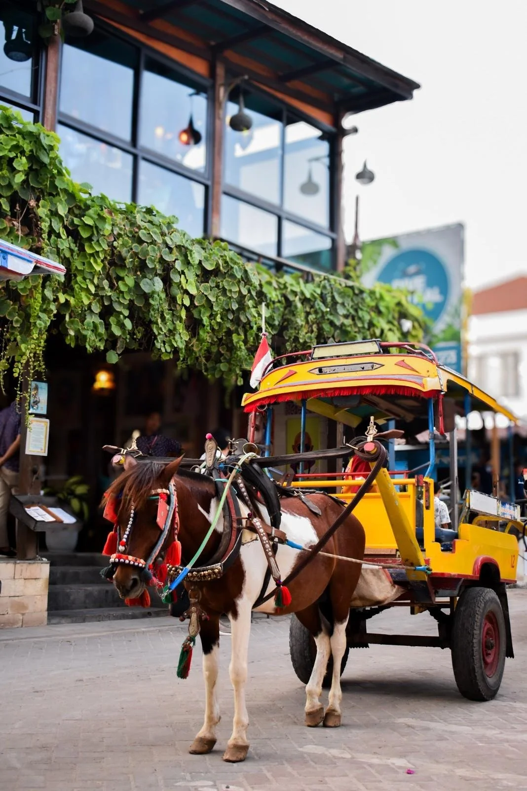 Traditional cidomo horse-drawn carriage passing near Pesona Lounge Gili Trawangan on Gili Trawangan Island