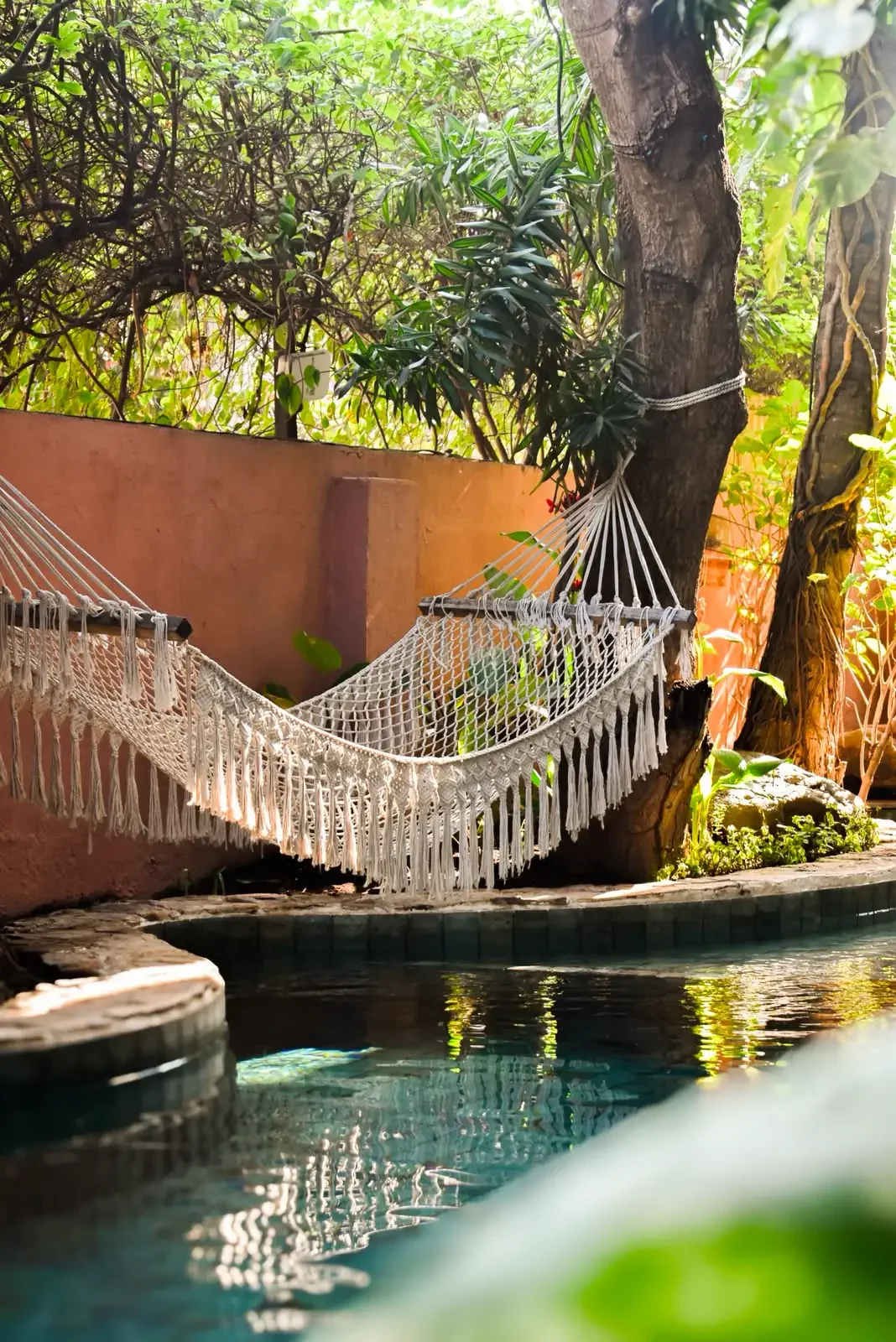 A white hammock is tied between a tree and a post near a backyard pool, surrounded by lush green plants and trees under sunlight.