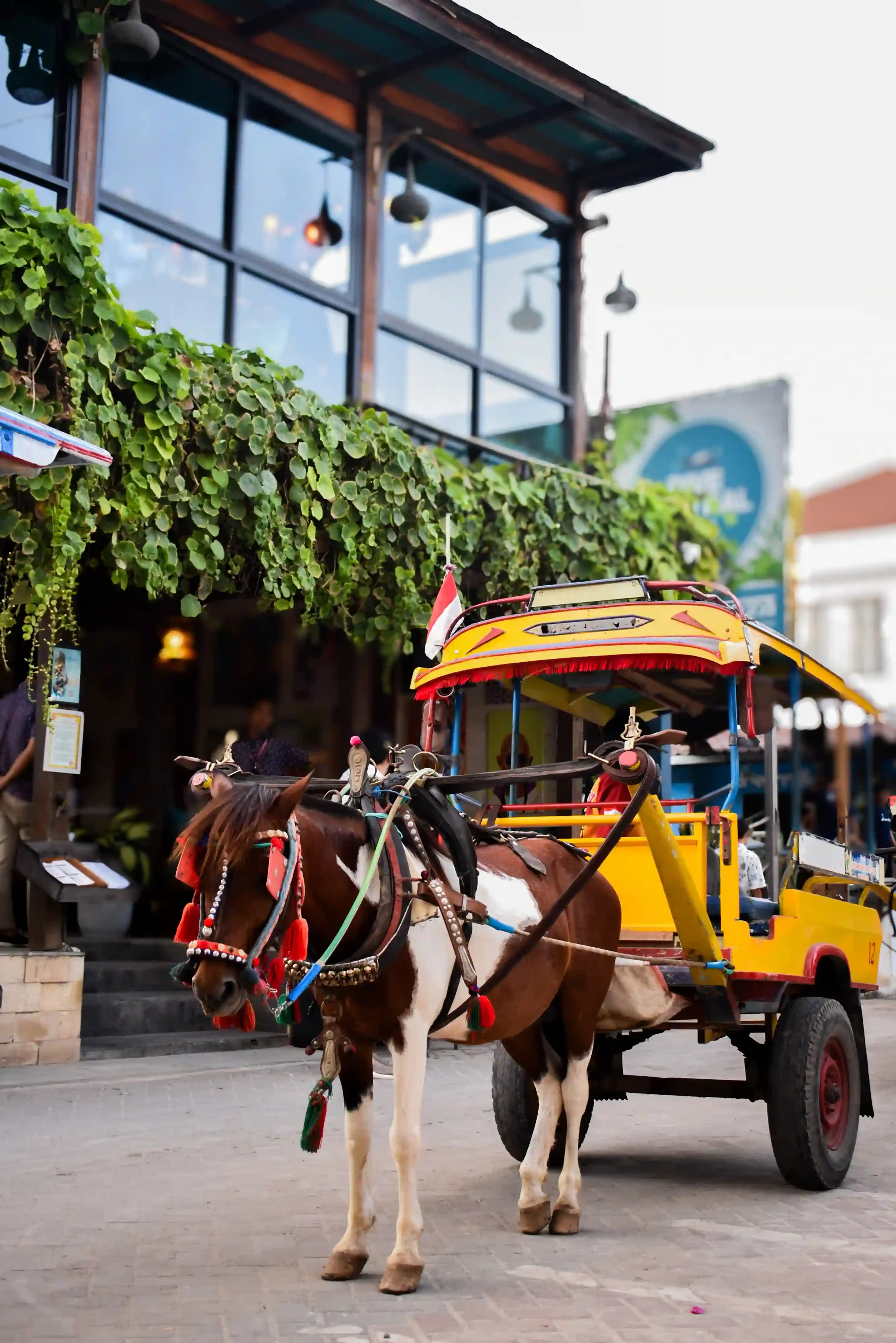Traditional cidomo horse cart outside Pesona Resort Gili Trawangan