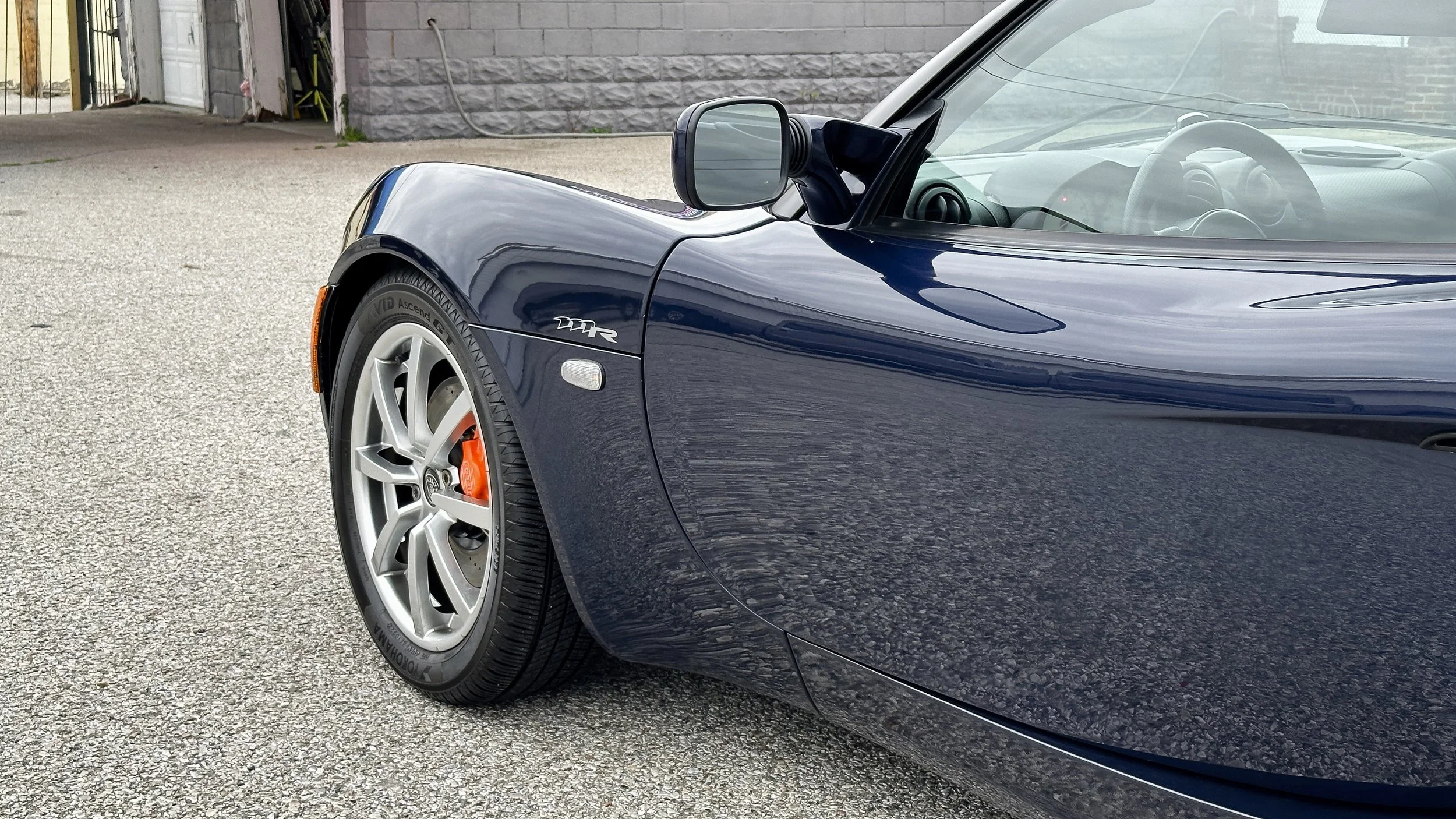 Lotus_03.jpg
