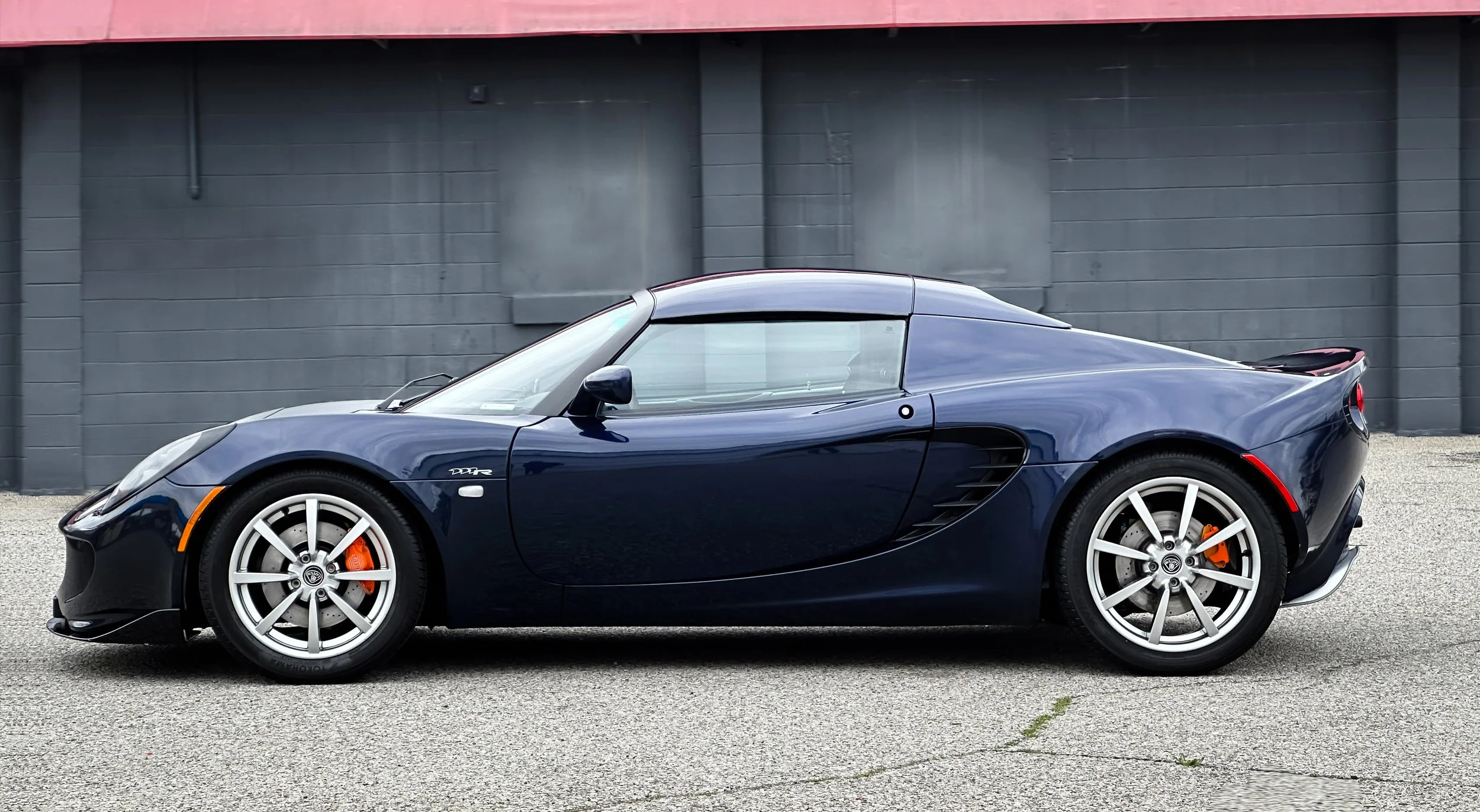 Lotus_02.jpg