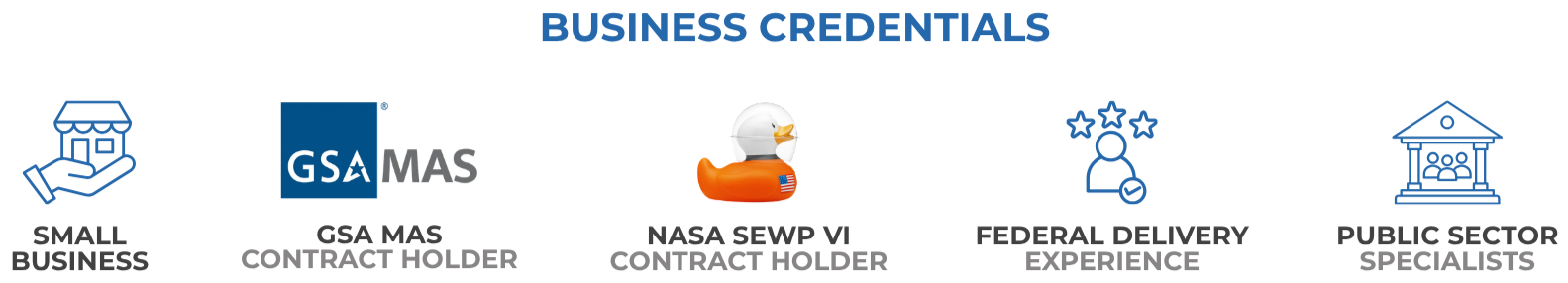 Small Business, GSA MAS, NASA SEWP VI, Federal Delivery, Public Sector