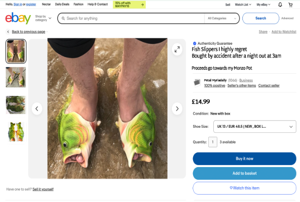 Person standing on wet surface wearing fish-shaped slippers that resemble tropical fish.